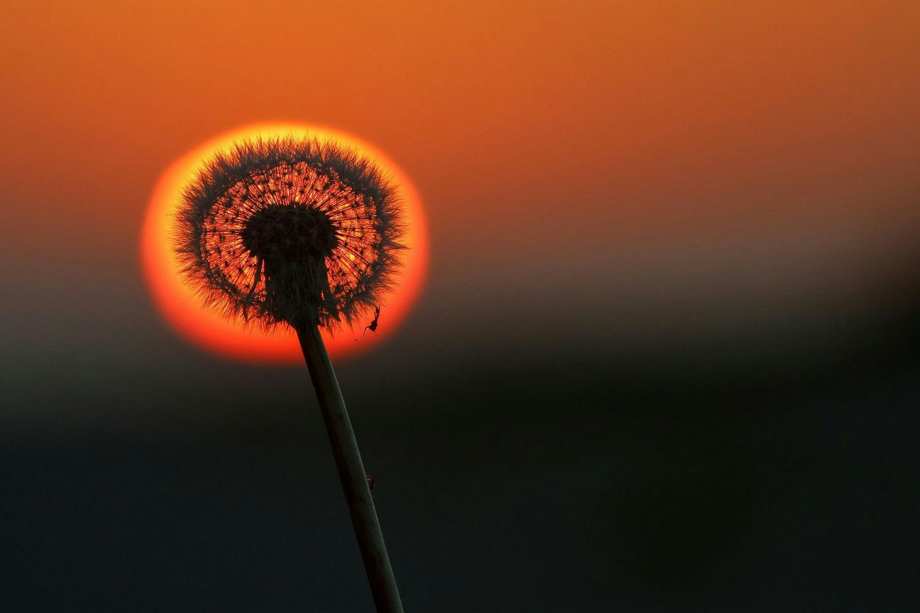 Das Wetter präsentiert sich derzeit in all seinen Farben - vom Winter in der Nacht bis zum Hochsommer am Nachmittag ist alles dabei.