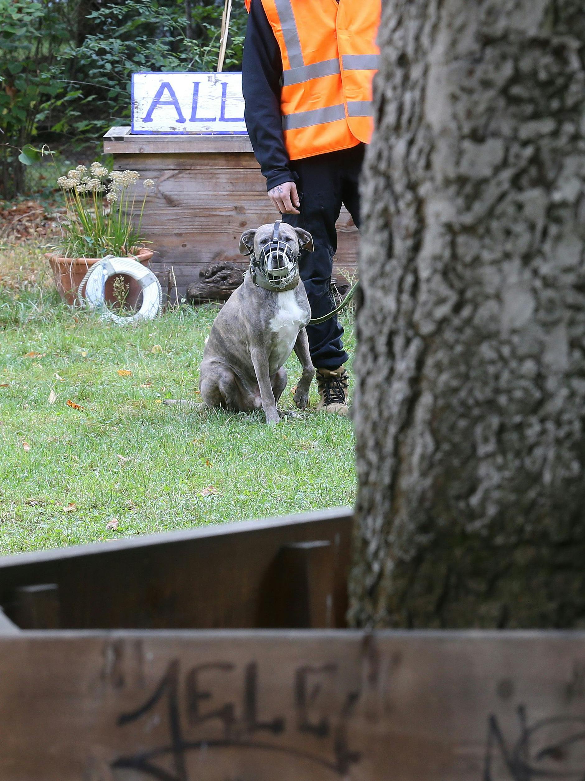 Wachschutz mit Hunden soll die Baustelle zukünftig rund um die Uhr sichern.