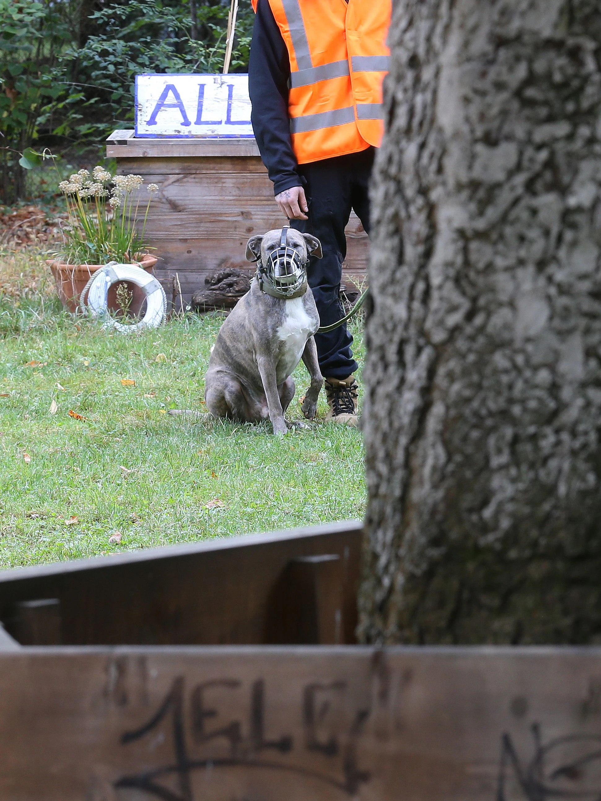 Wachschutz mit Hunden soll die Baustelle zukünftig rund um die Uhr sichern.