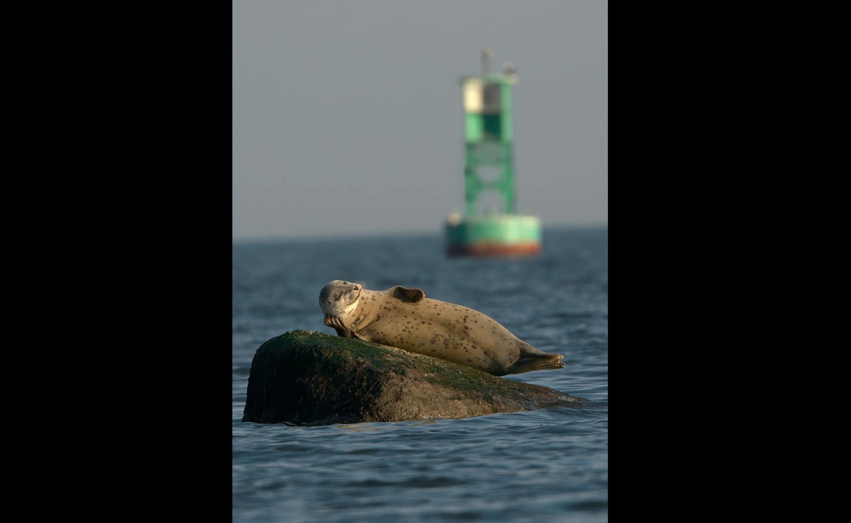 „Das Hier und Jetzt genießen“