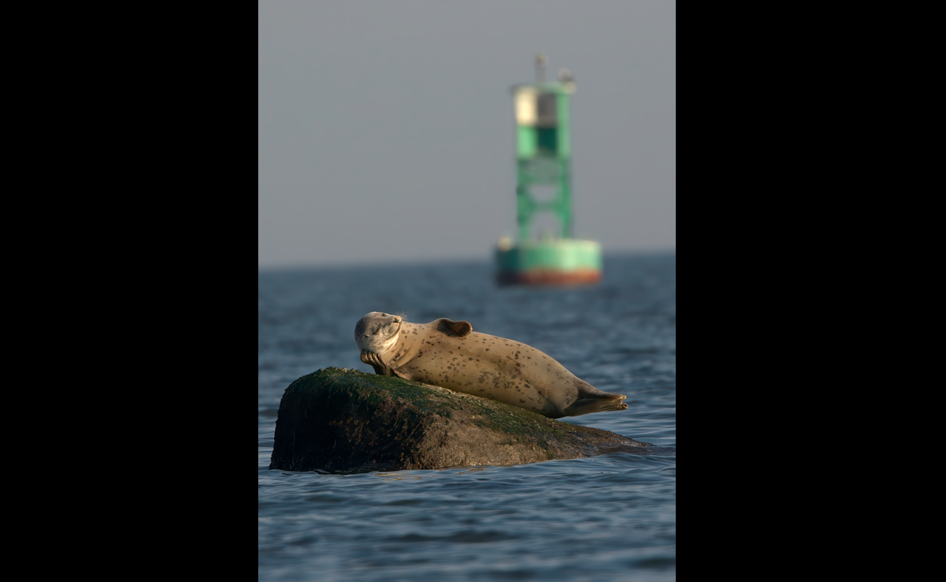 „Das Hier und Jetzt genießen“