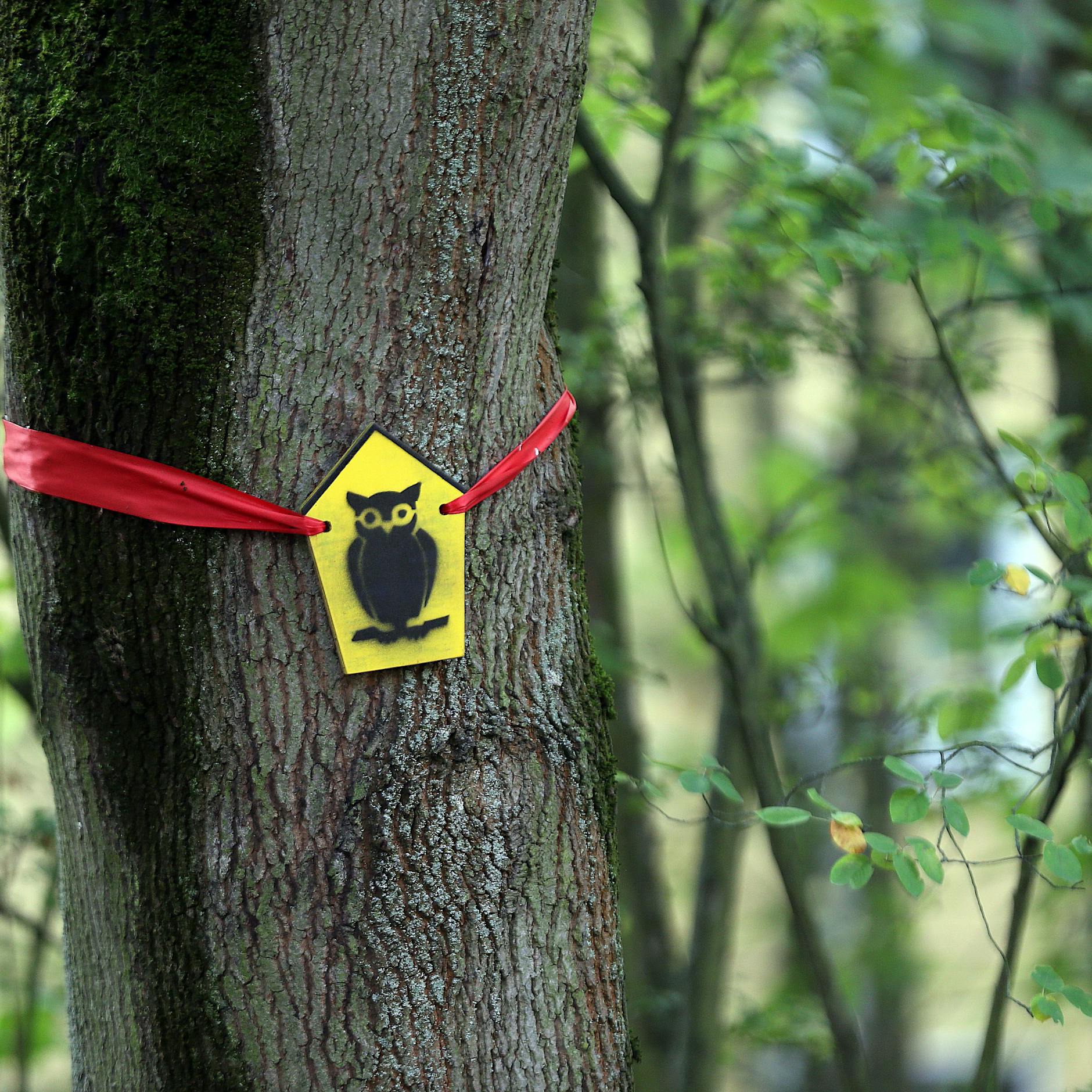 Nach Eskalation in Pankow: Bürgerinitiative sagt nein zu Gewalt