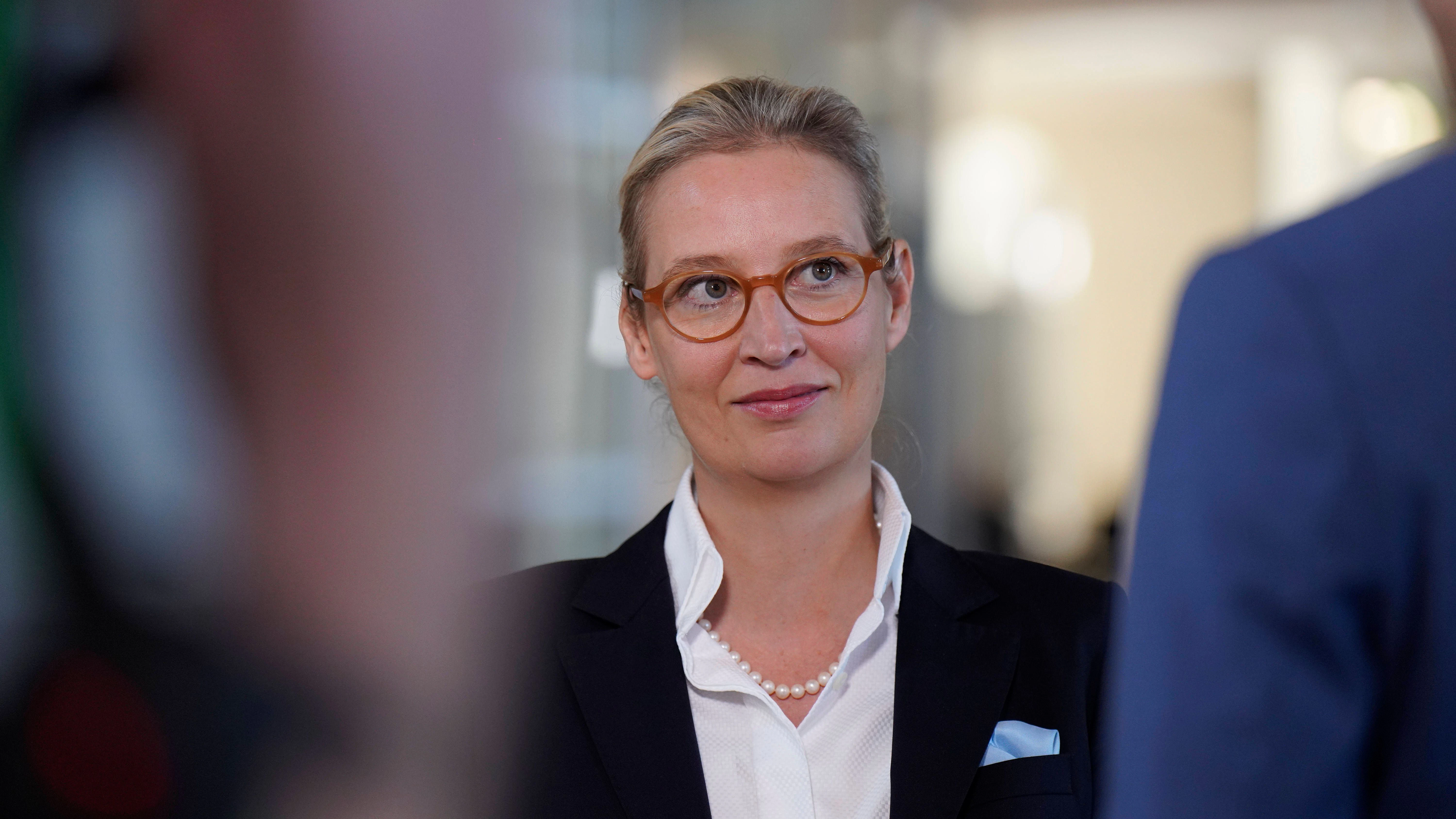 War auch Alice Weidel Ziel eines Anschlages?