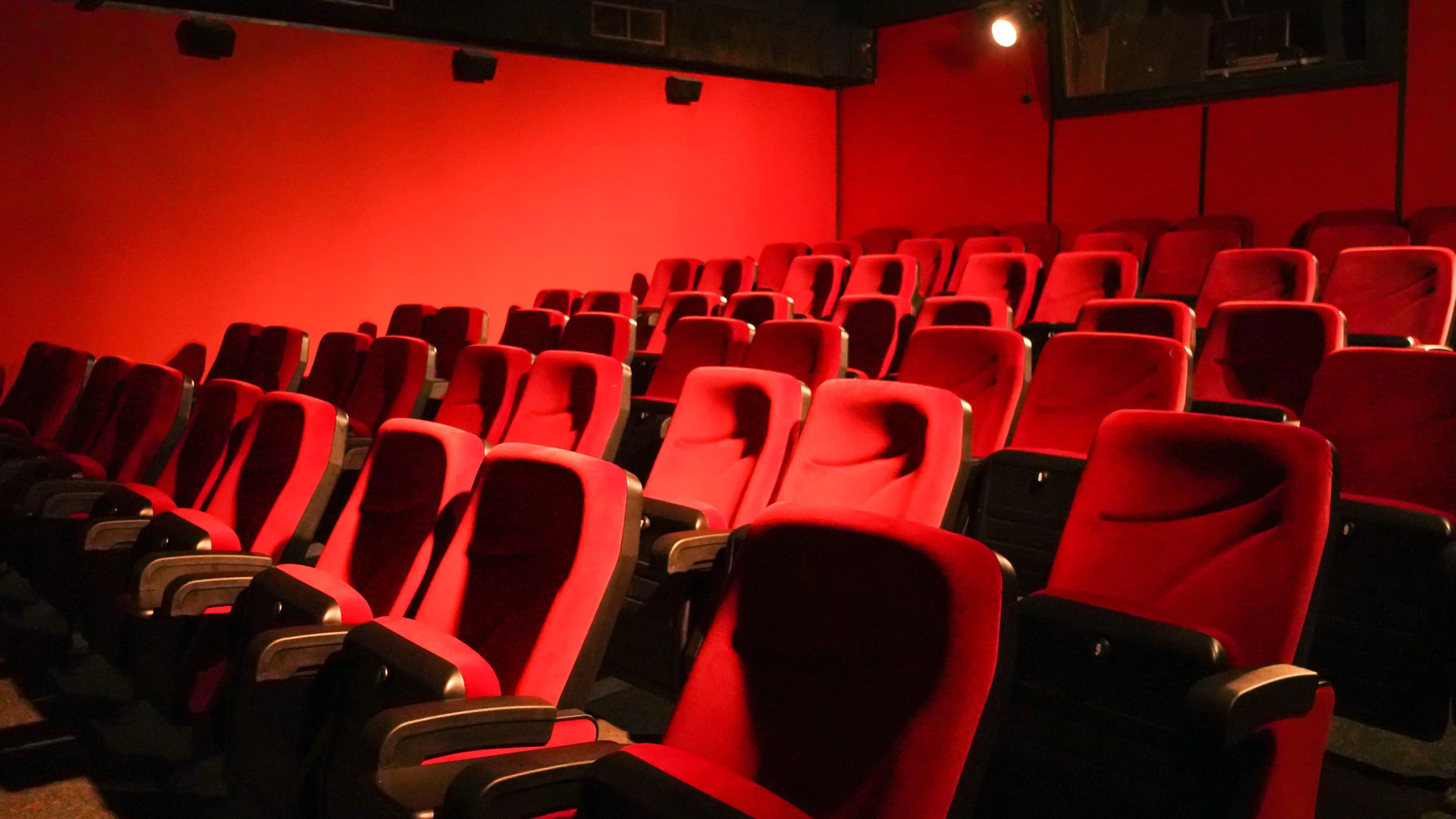 Verschiedene Kinos in Berlin zeigen zum Dokumentarfilm-Festival 18 Streifen aus 14 Ländern.