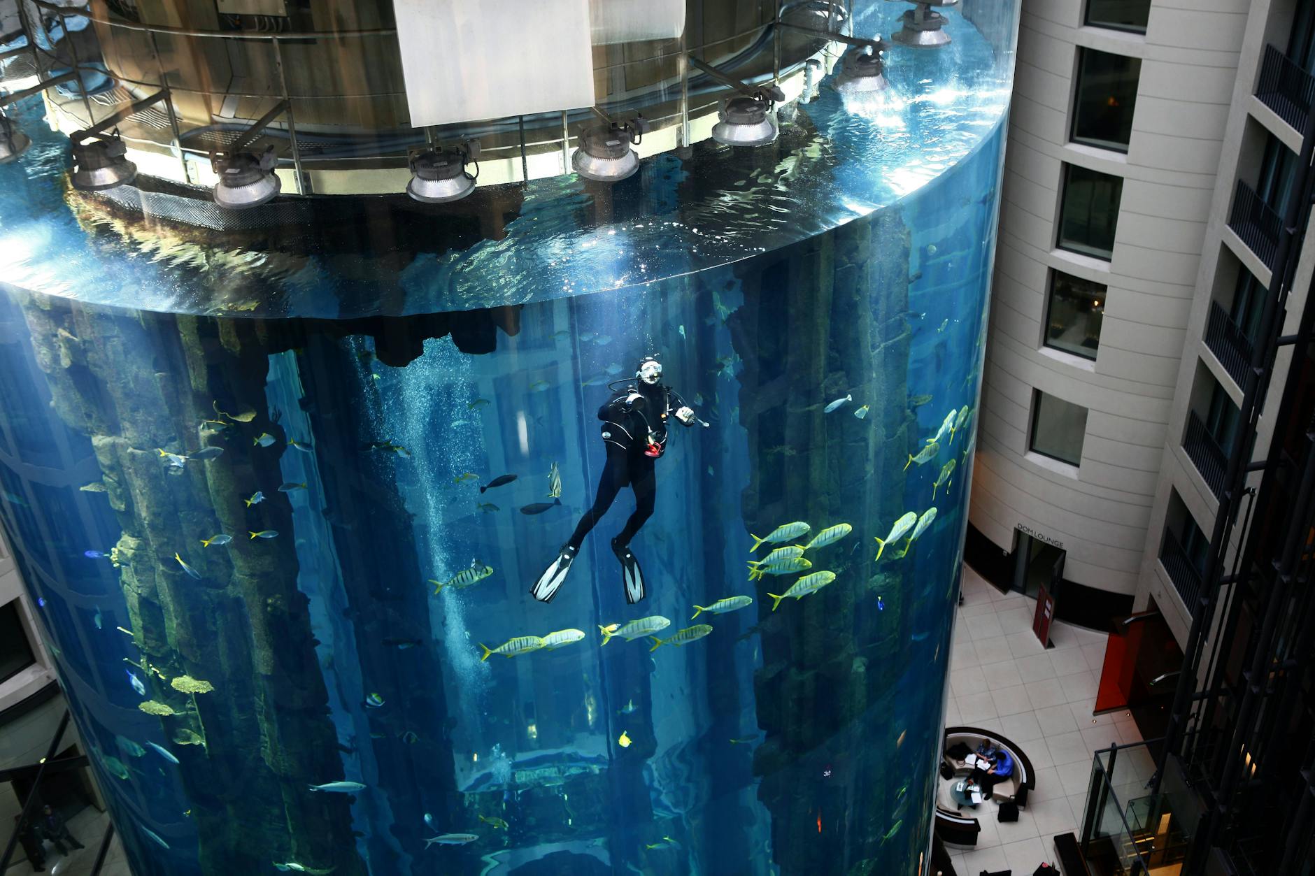 Attraktion Aquadom: in der Lobby zog das Riesenaquarium viele Besucher an. 