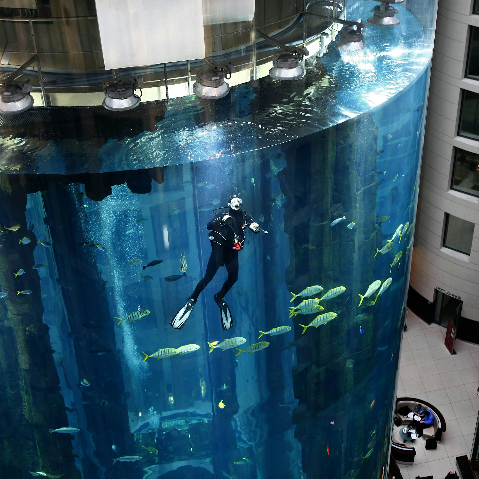 Vor einem Jahr platzte der Aquadom in Berlin – wie es nun weiter geht