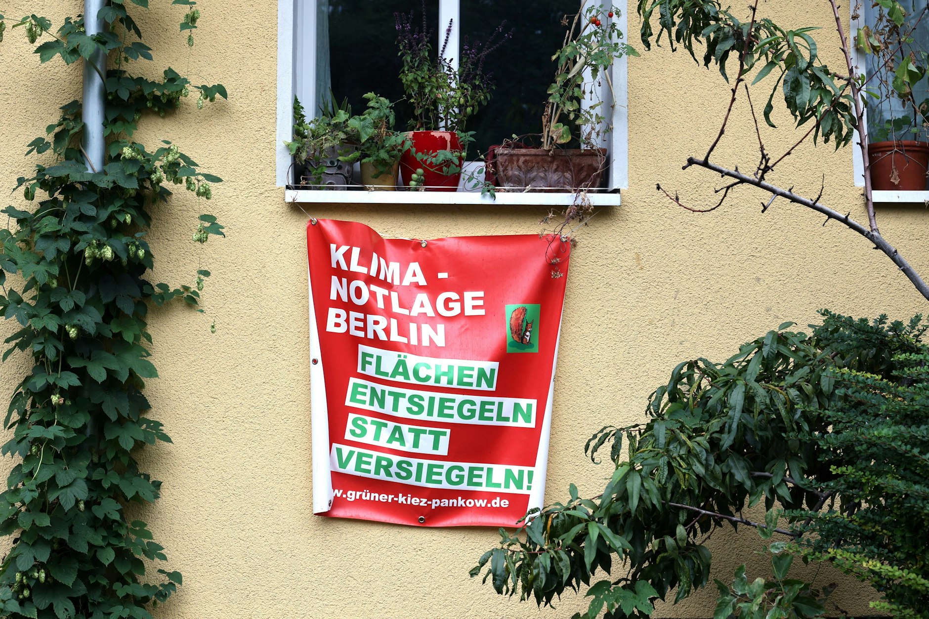 In der Ossietzkystraße in Pankow protestieren die Mieter gegen die Verdichtung des grünen Innenhofs durch Baumaßnahmen der Gesobau, Spielplatz und Bäume sollen weichen.