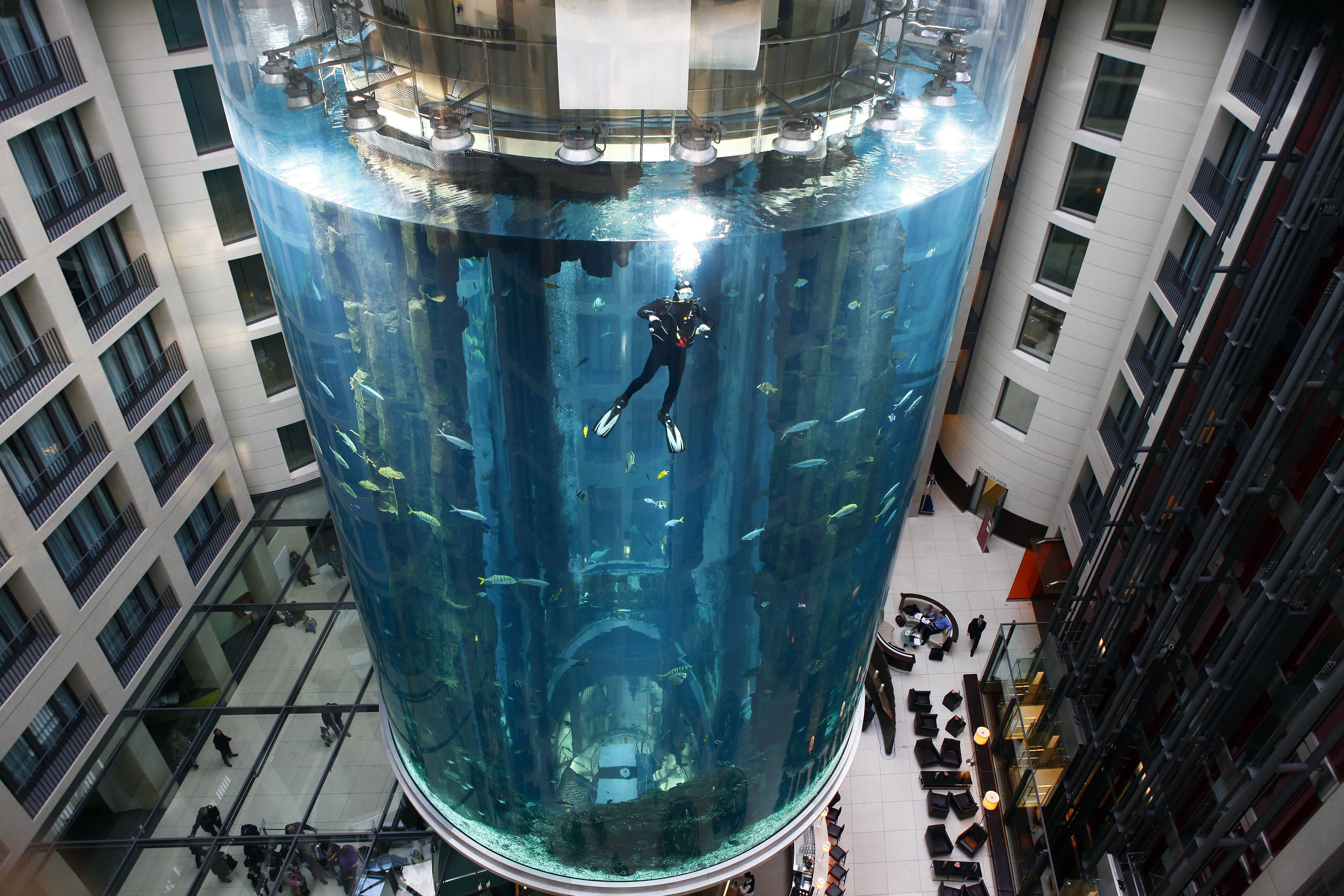 Nach Aquadom-Platzer: Sea Life Berlin macht Schotten nun ganz dicht!
