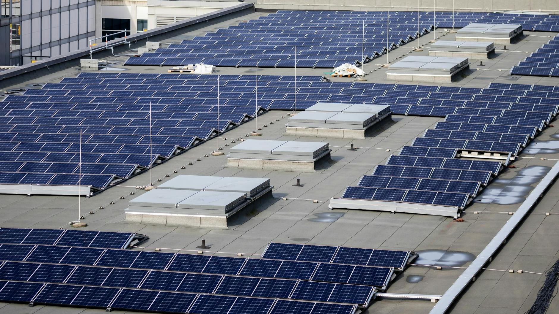 Insgesamt 20.000 Solarpanels sollen auf dem Dach der Messe Berlin installiert werden. 