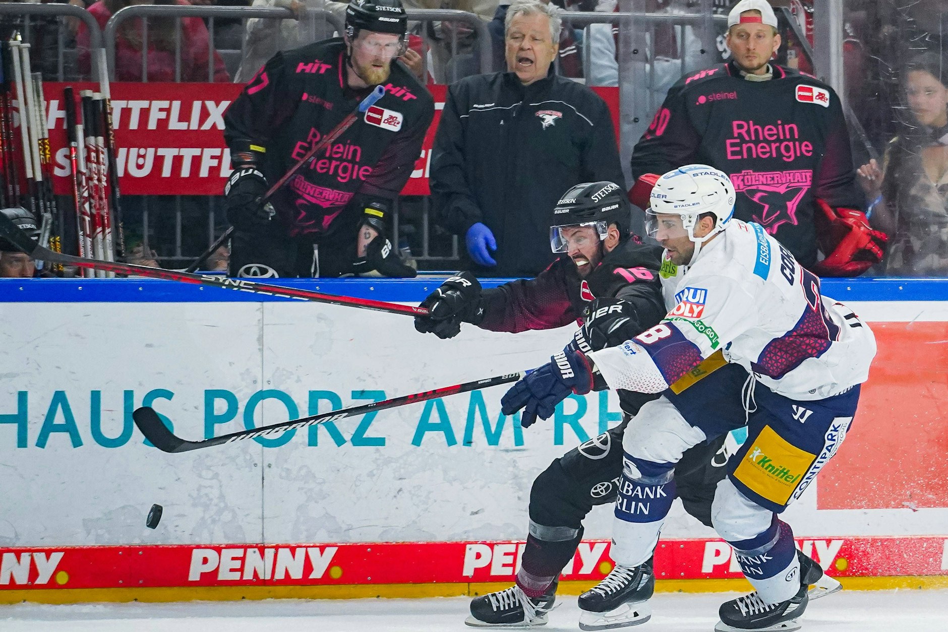 Da kann Kölns Jason Bast (l.) noch so auf die Zähne beißen, Eisbär Patrice Cormier lässt nicht locker.