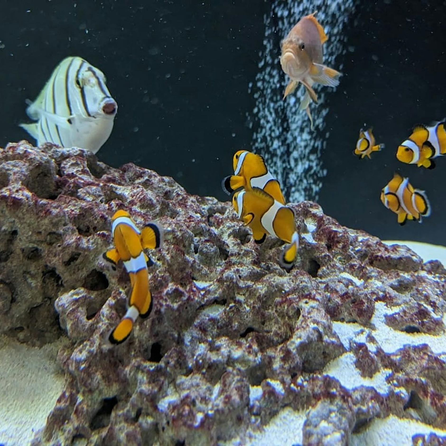 Familienausflug bei schlechtem Wetter: So toll sind Indoor-Abenteuer in Berlin