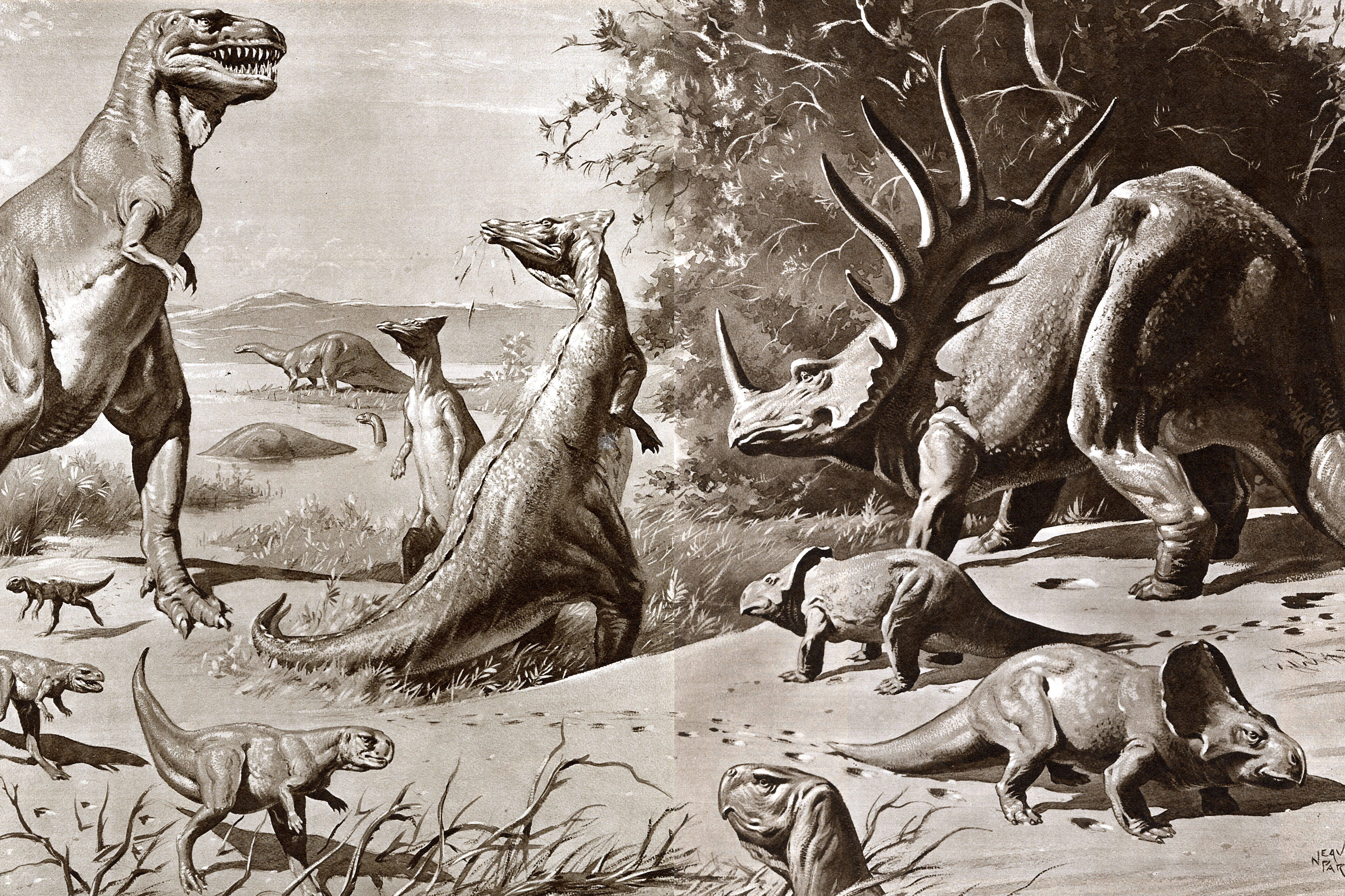 Dinosaurier der Wüste Gobi Russland in der Kreidezeit, die sich über 79 Millionen Jahre vom Ende der Jurazeit vor 145 Millionen Jahren bis zum Beginn des Paläogens erstreckt.