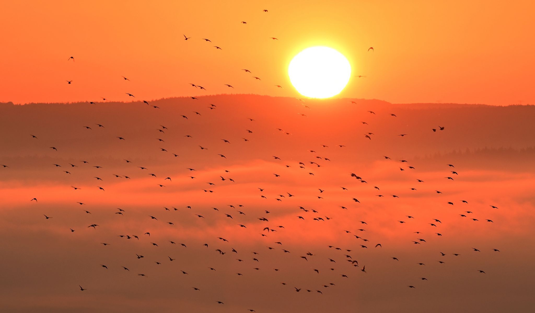 30,1 Grad: Noch nie war es so spät im Jahr so heiß