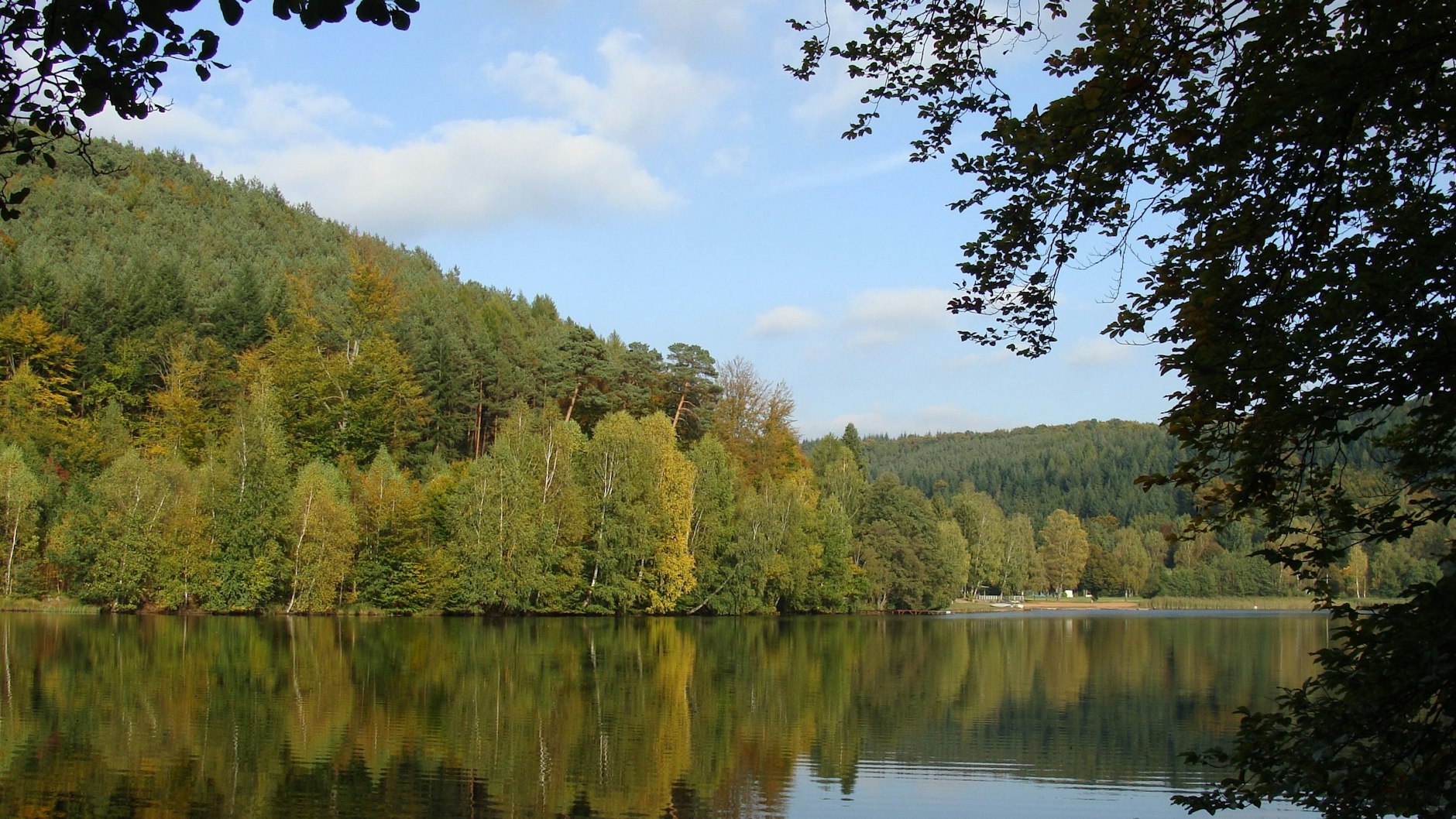 Der Gelterswoog ist ein idyllischer See, doch Badende fürchten sich hier vor einem brutalen und blutrünstigen Hecht.