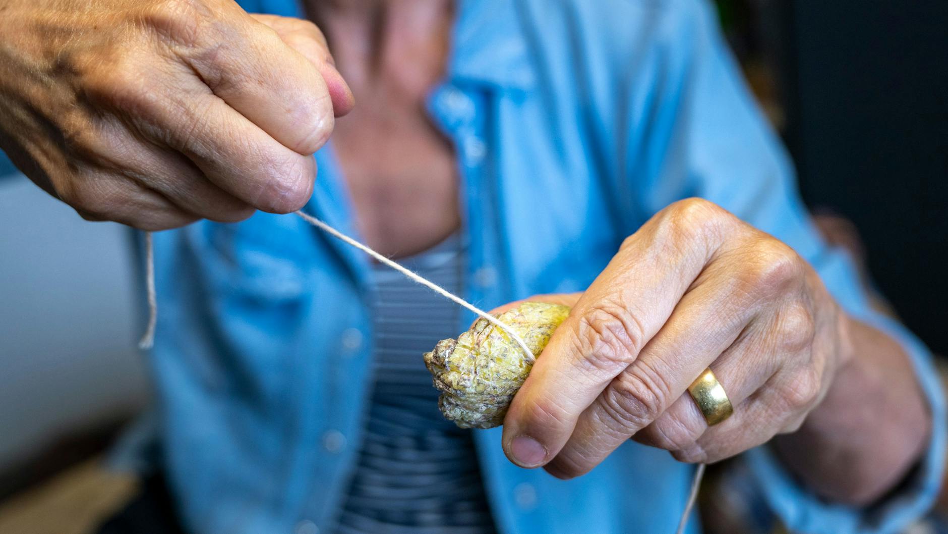 Vor der Reparatur eines Teppichs behandelt sie einen Wollfaden mit Bienenwachs.