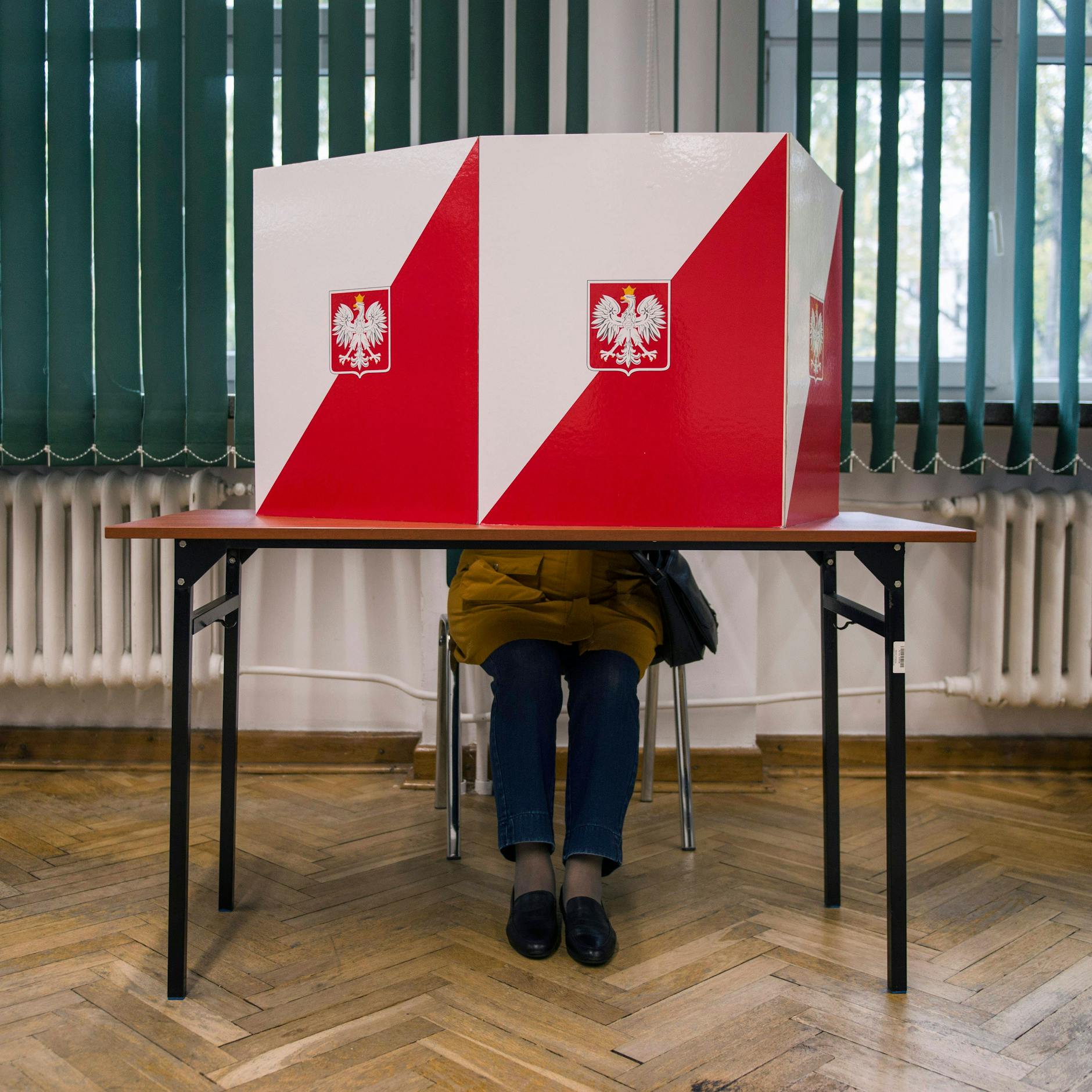 Image - Nach der Wahl: Die Polonia in Berlin ist erleichtert