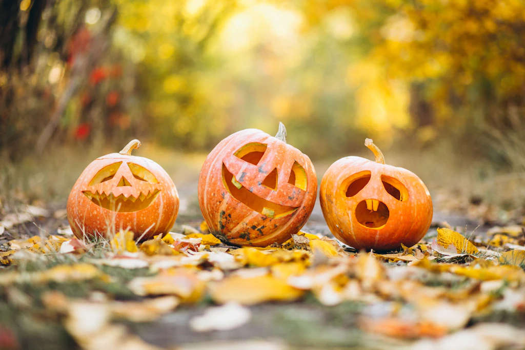 SO einfach schnitzen Sie den perfekten Halloween-Kürbis