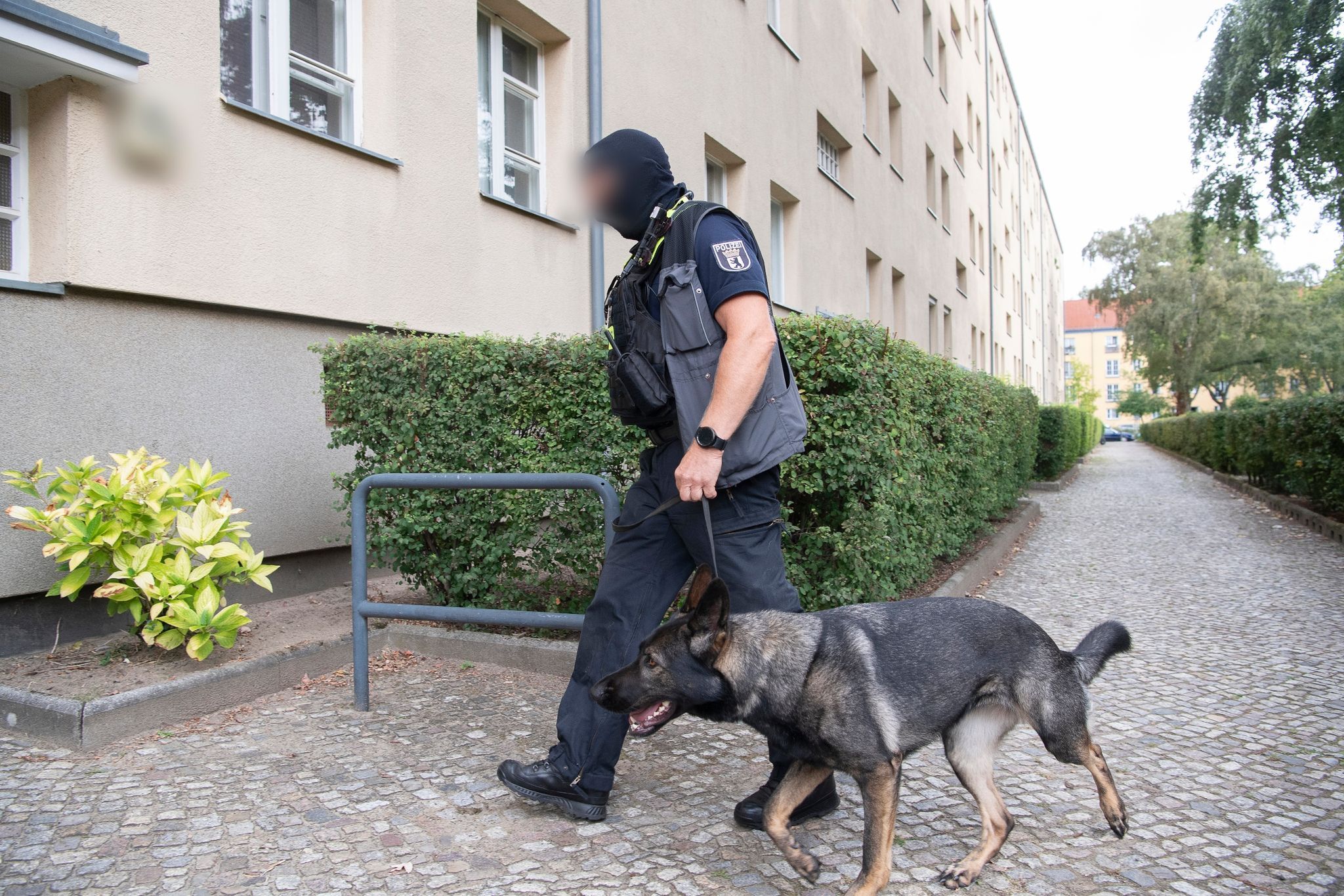 Drogen-Razzia In Berlin: Polizei Ermittelt Wegen Kokain-Handel Mit ...