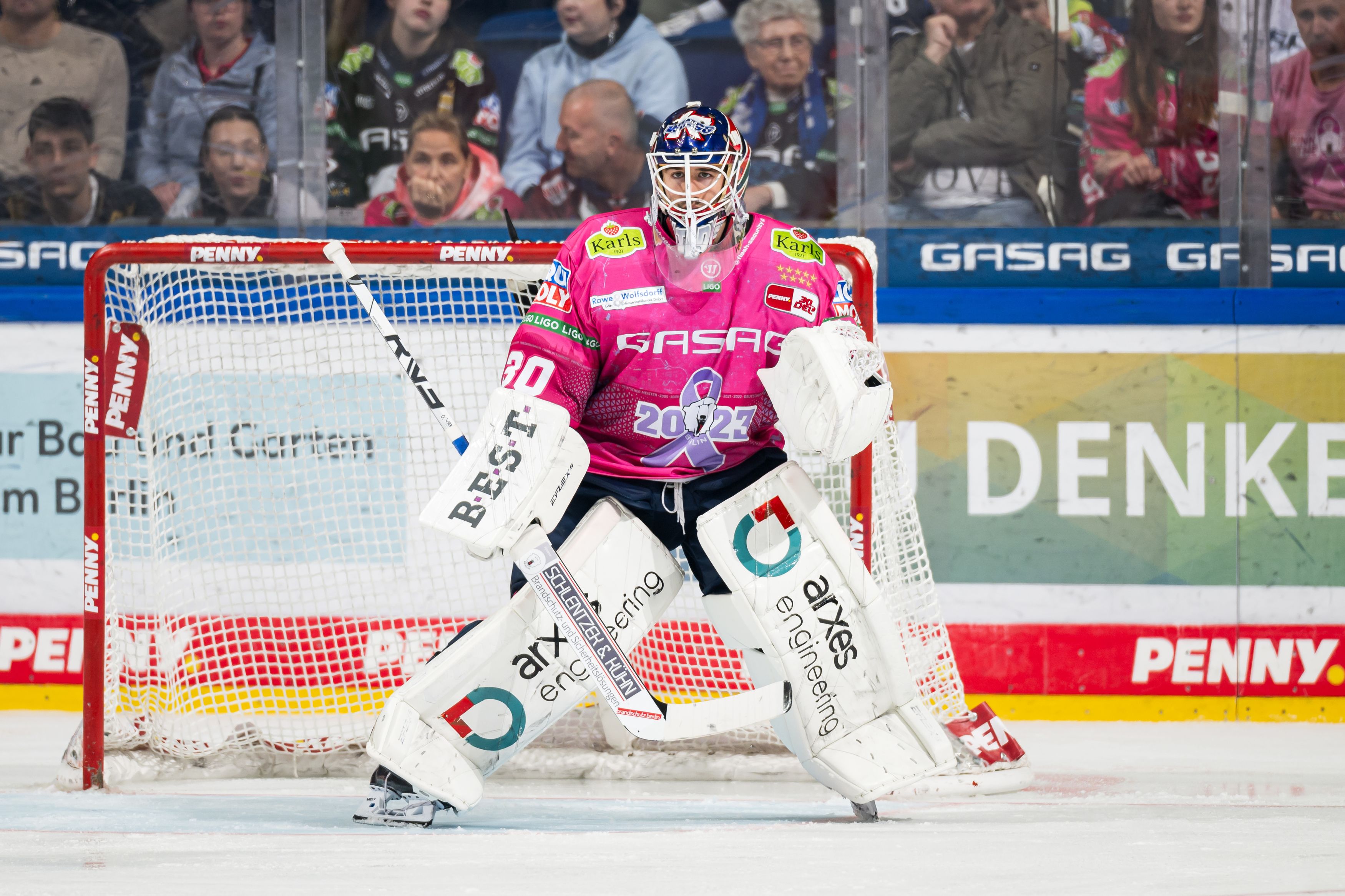 Jake Hildebrand: Als Eisbär zurück in die Höhle der Löwen