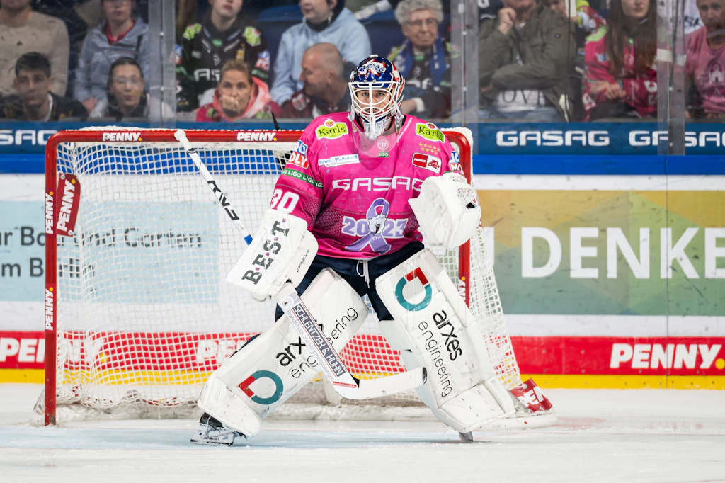 Jake Hildebrand: Als Eisbär zurück in die Höhle der Löwen