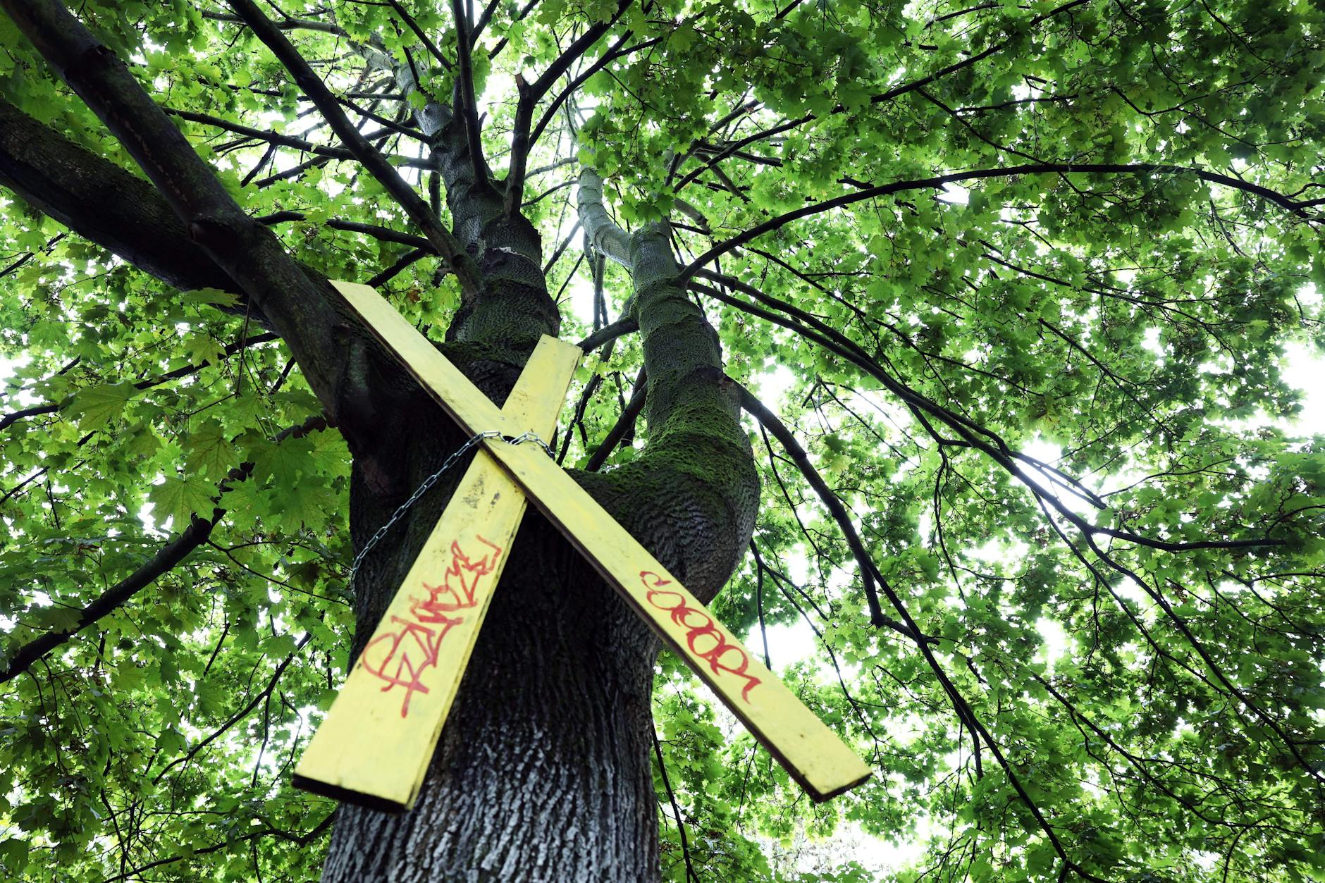 In der Ossietzkystraße in Pankow protestieren die Mieter gegen die Verdichtung des grünen Innenhofs durch Baumaßnahmen der Gesobau, Spielplatz und Bäume sollen weichen.
