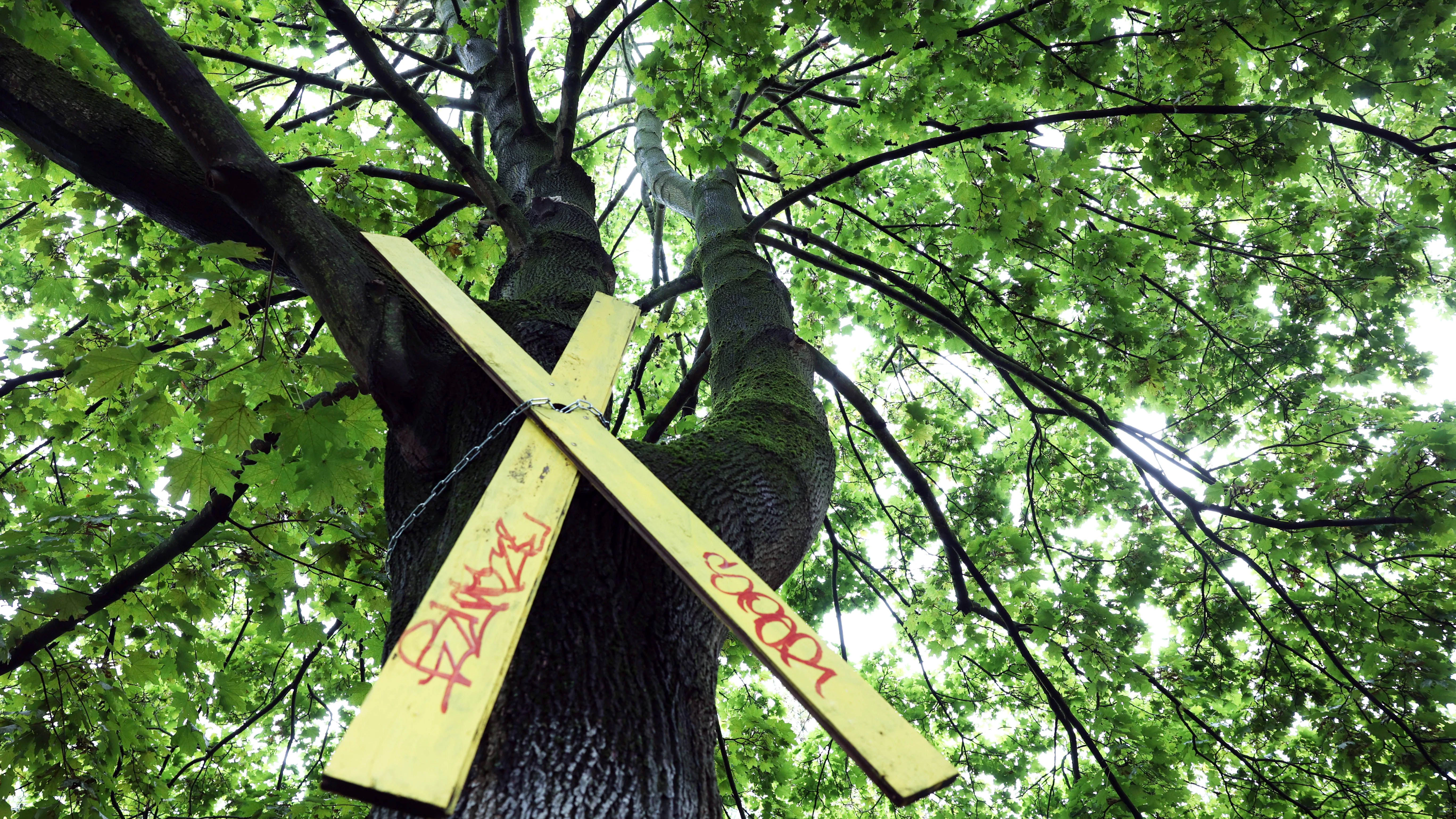 In der Ossietzkystraße in Pankow protestieren die Mieter gegen die Verdichtung des grünen Innenhofs durch Baumaßnahmen der Gesobau, Spielplatz und Bäume sollen weichen.