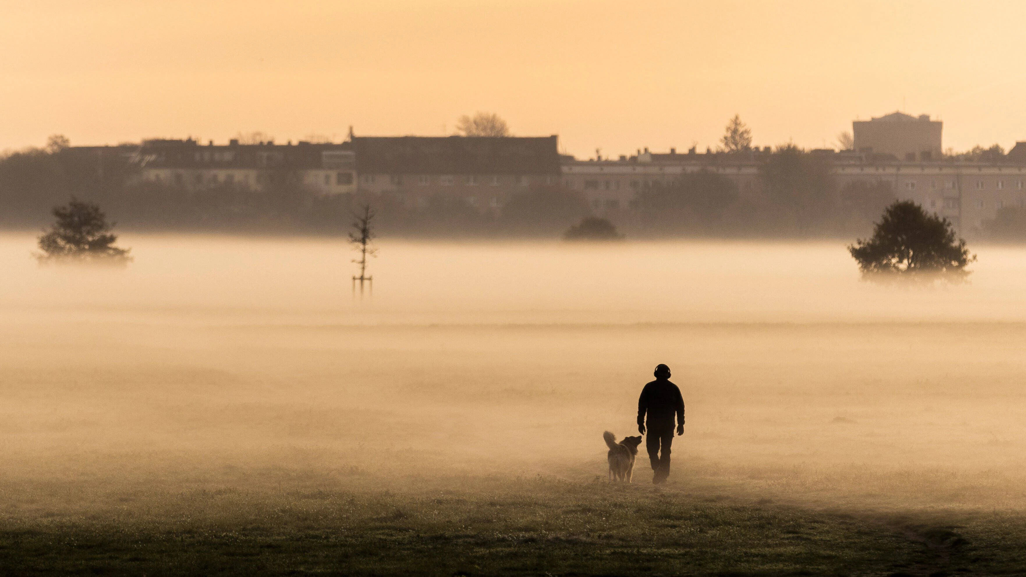 Das Wetter in Berlin wird derzeit schon recht herbstlich: Morgens gibt es Nebel, zwischendurch immer wieder Regen.