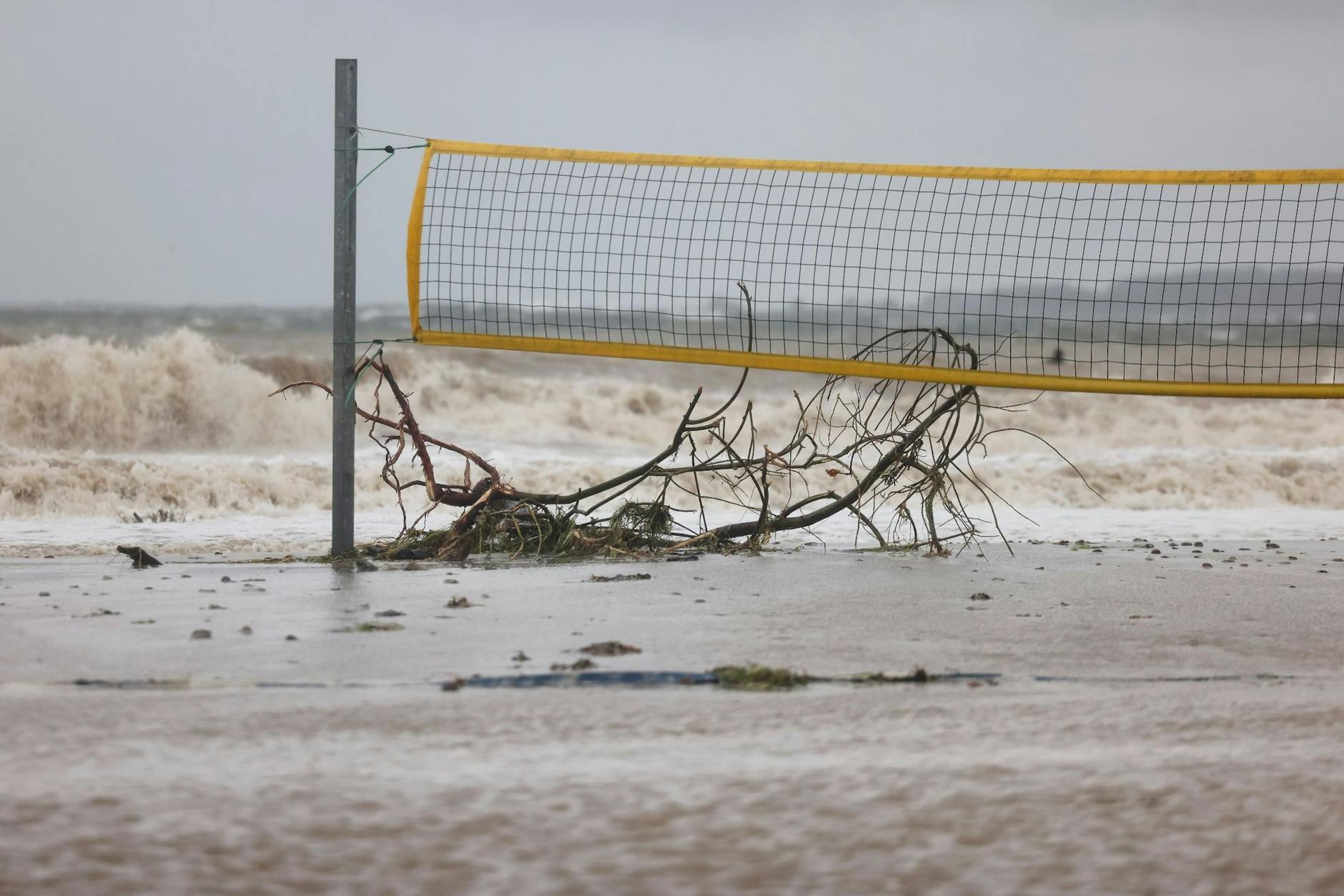 Ein entwurzelter Baum liegt unter einem Volleyballnetz am Ostseestrand von Eckernförde.