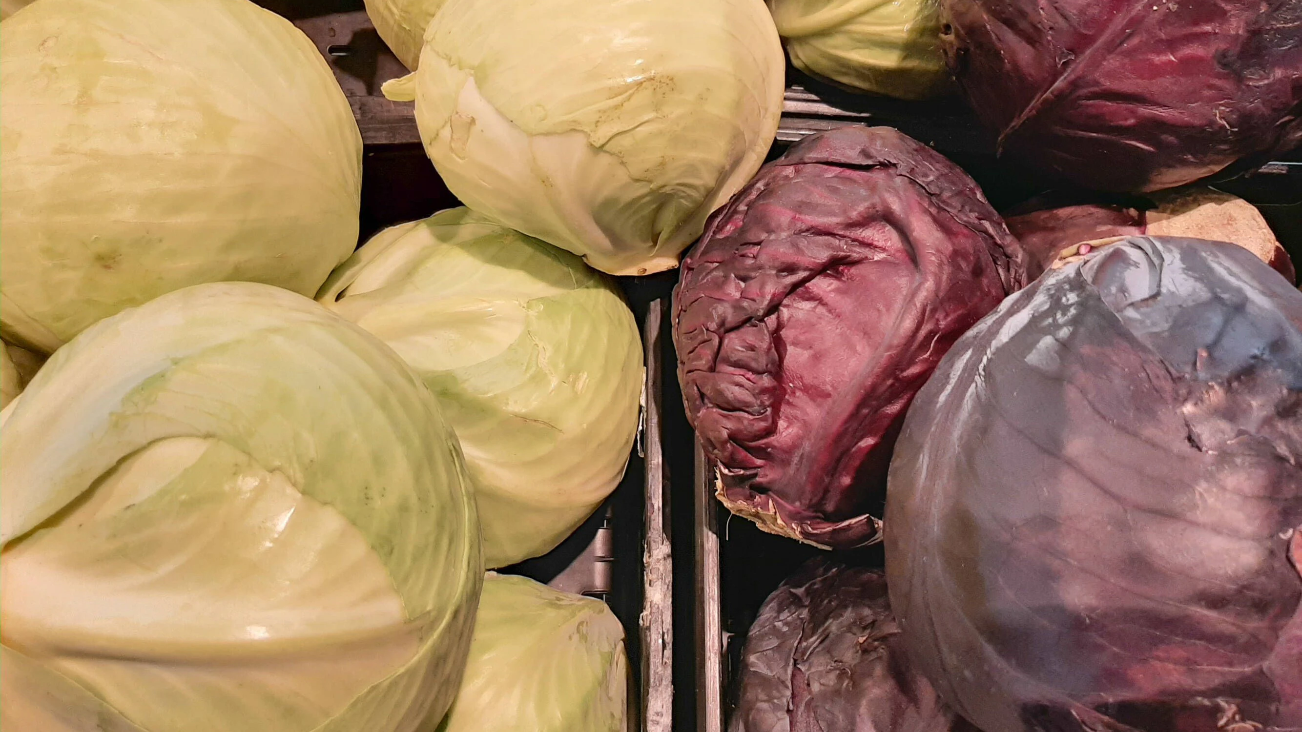 Kohl ist lecker und sättigend - und kann zu vielen tollen Gerichten verarbeitet werden. Auch zu diesem Rezept für Auflauf mit Weißkohl und Hackfleisch passt er einfach perfekt.