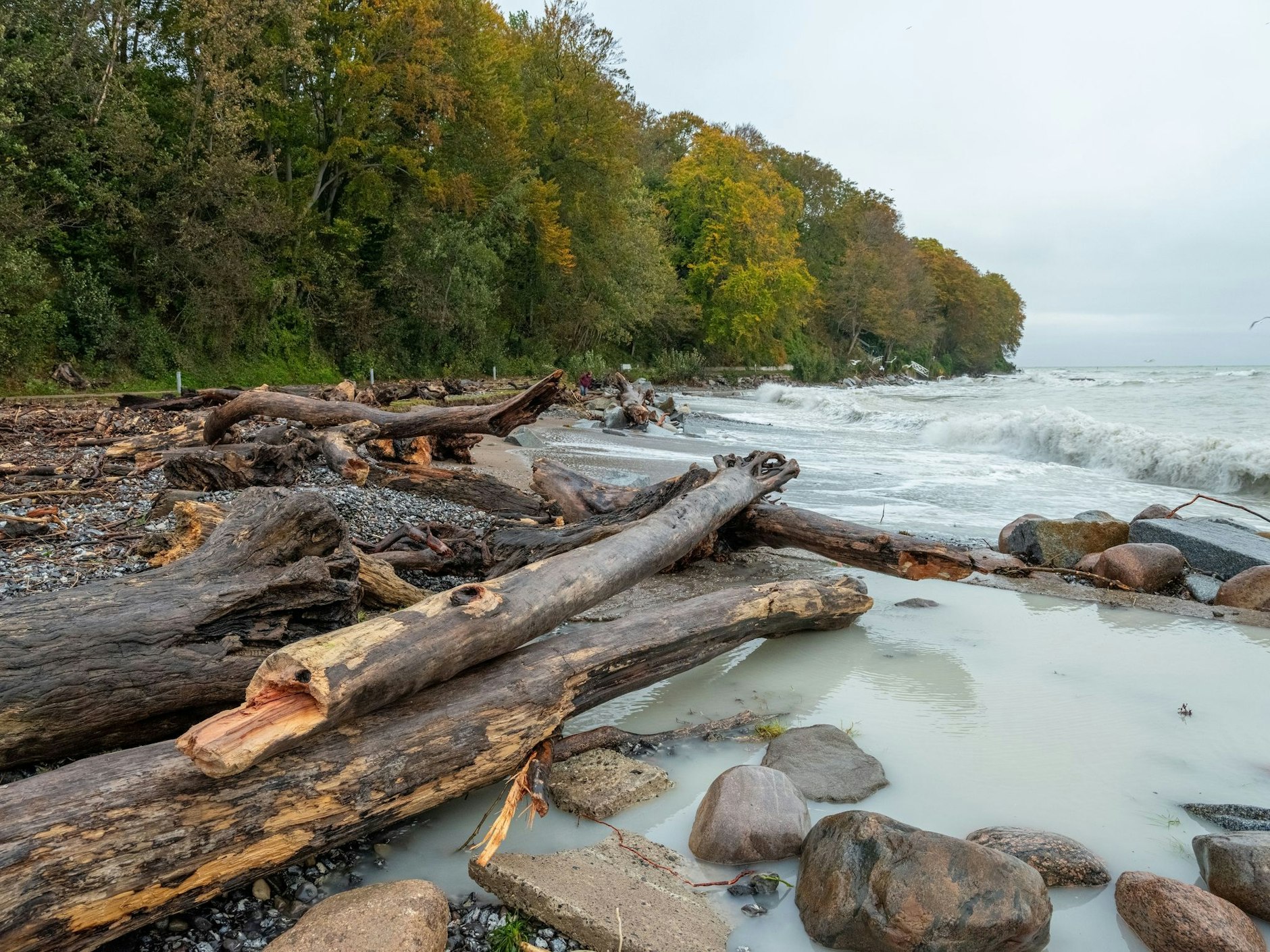 Auf der Strandpromenade in Sassnitz wurde in der Nacht zu Samstag Treibholz angespült.