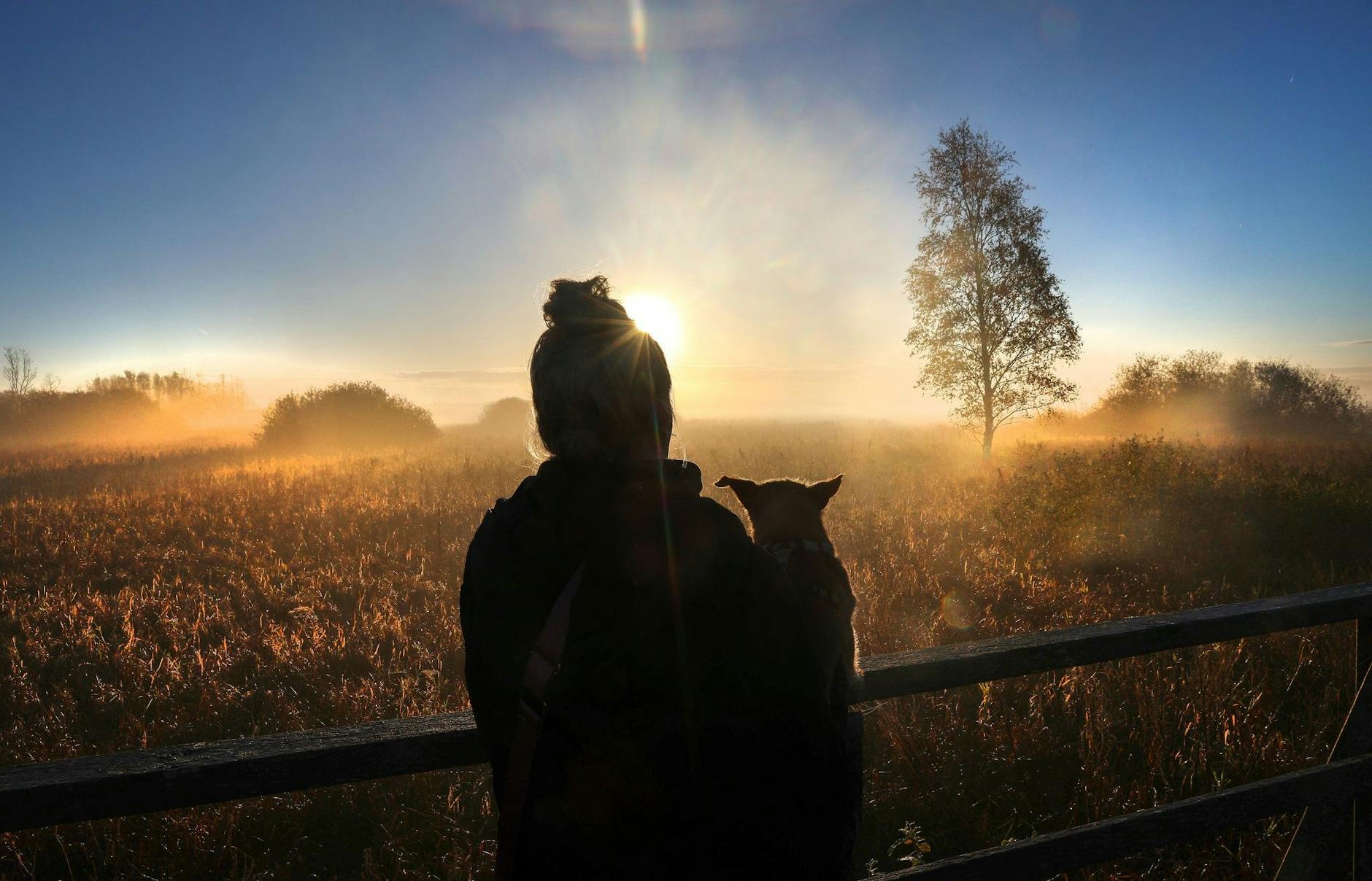 Morgenstund hat Gold ... über dem Feld - zumindest durch das Lichtspiel heute früh auf dem Federseesteg bei Bad Buchau in Oberschwaben.