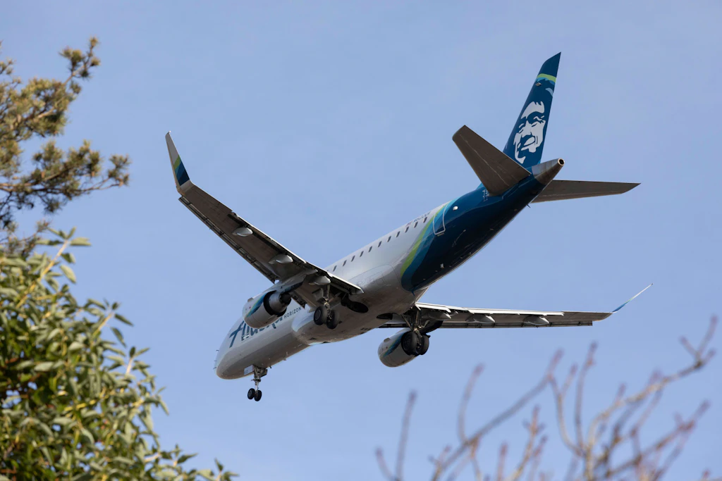 Triebwerke ausgeschaltet: Pilot wollte Flugzeug abstürzen lassen