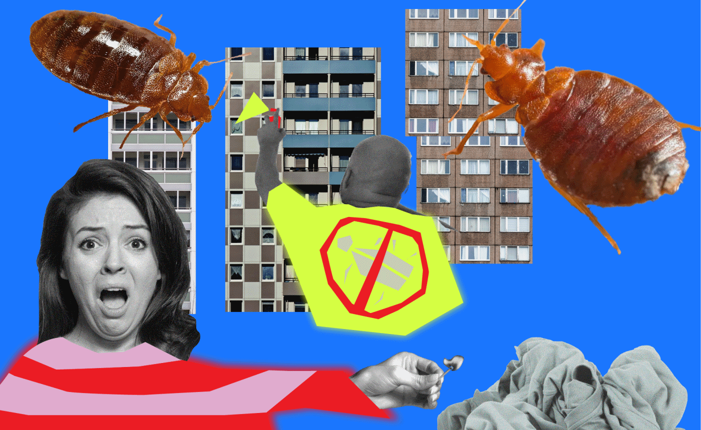 Bettwanzen in Berlin: Wie die Insekten seit sechs Monaten Sorayas Leben zur Hölle machen