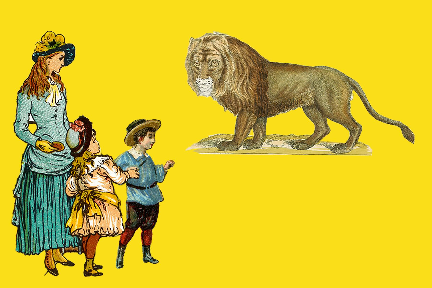 Im Naturkundemuseum kommt man wilden Tieren so nah wie selten, natürlich leben sie nicht mehr.