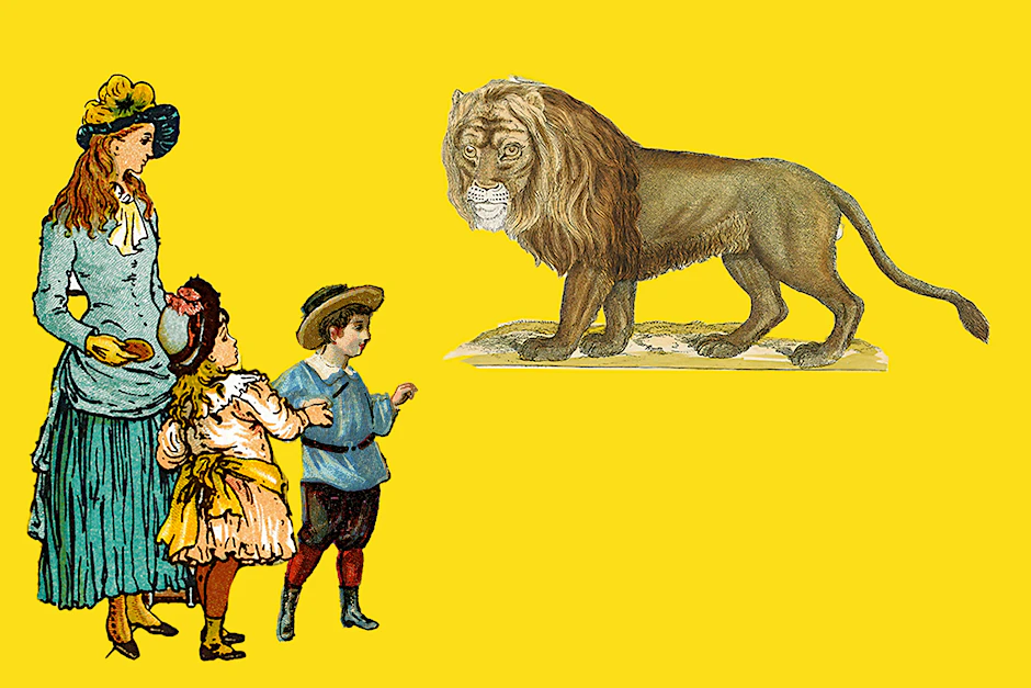 Im Naturkundemuseum kommt man wilden Tieren so nah wie selten, natürlich leben sie nicht mehr.