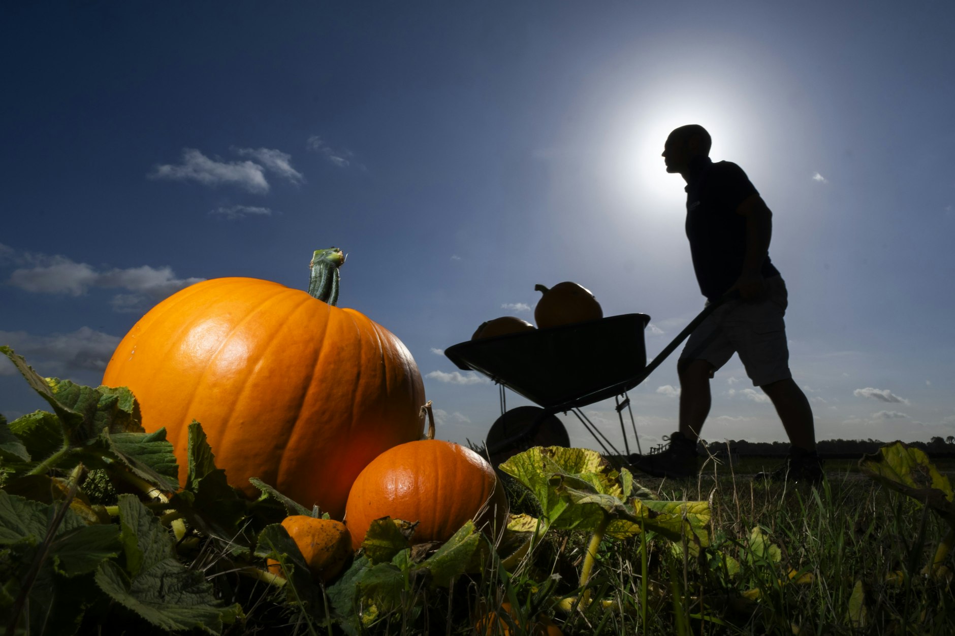 Ursprünglich das Übel der Herbstzeit: Der Kürbis ist seit ein paar Jahren das absolute It-Gemüse. Schnell noch was daraus machen, bevor wir ihn nicht mehr schmecken wollen.