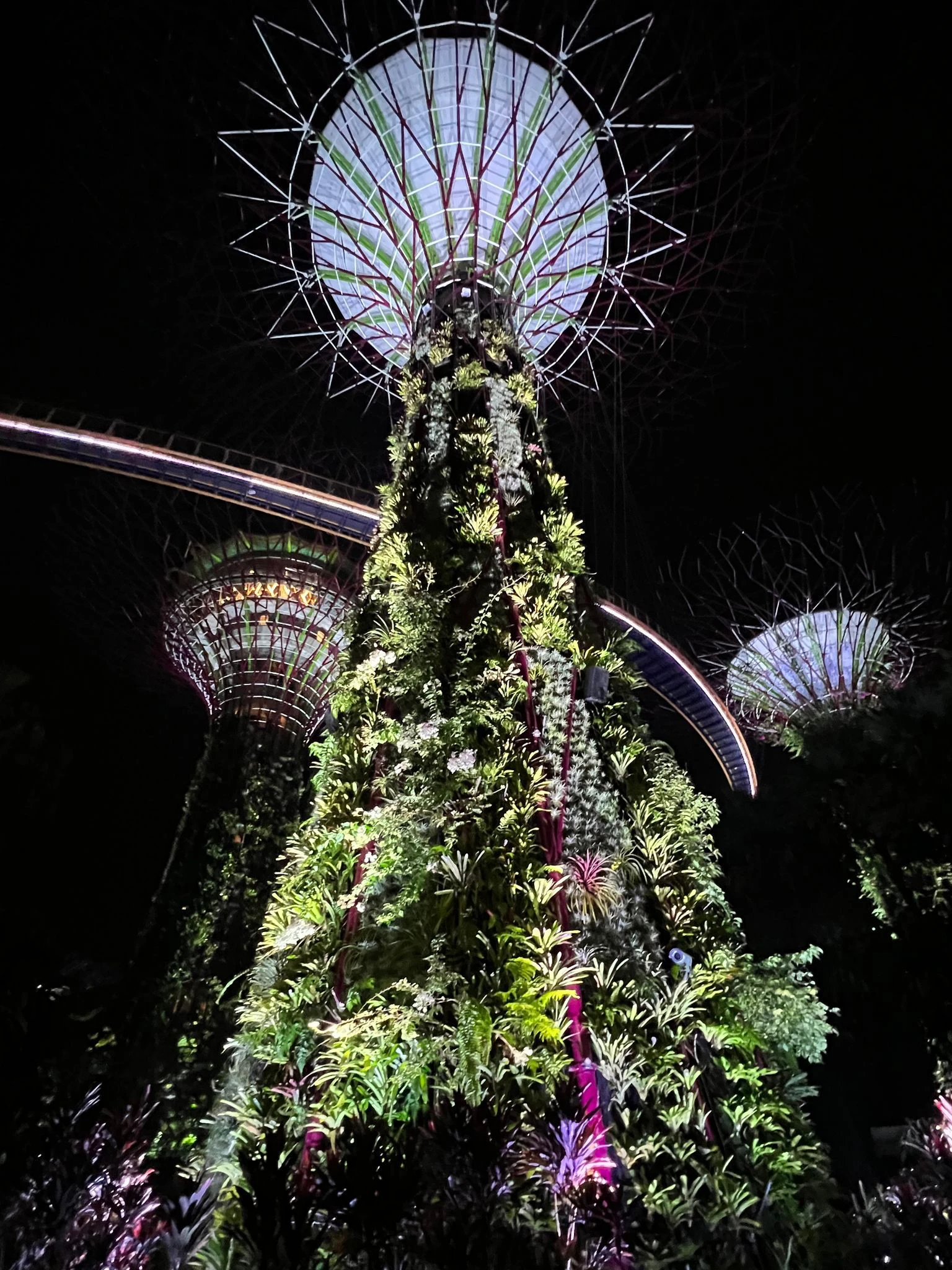 PRODUKTION - Herzstück der Parkanlage Gardens by the Bay sind sogenannte Supertrees. An den futuristischen Metallbäumen wachsen Zehntausende Pflanzen.  