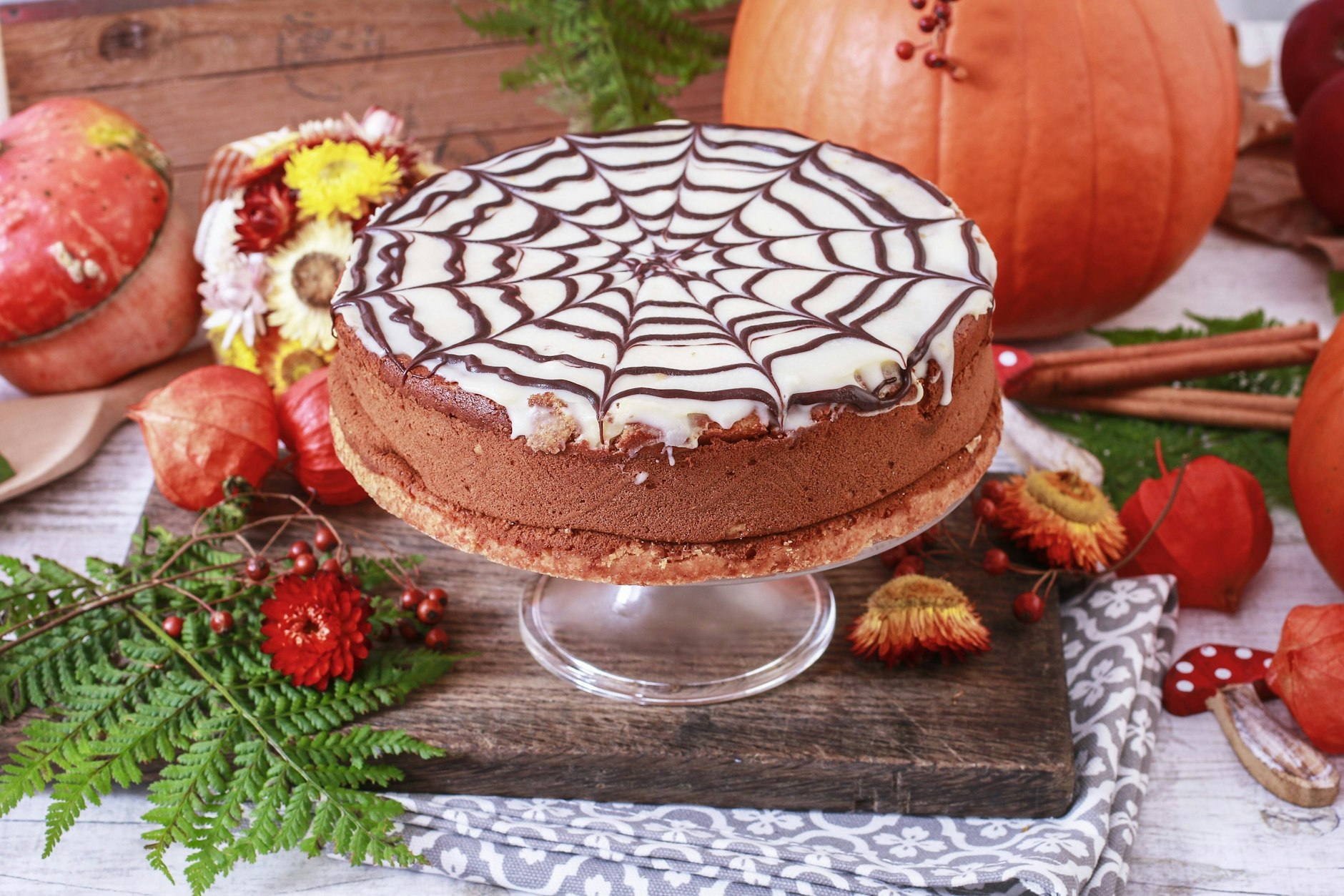 Hier gibt es ein Rezept für einen köstlichen und gruseligen Spinnennetz-Kuchen!