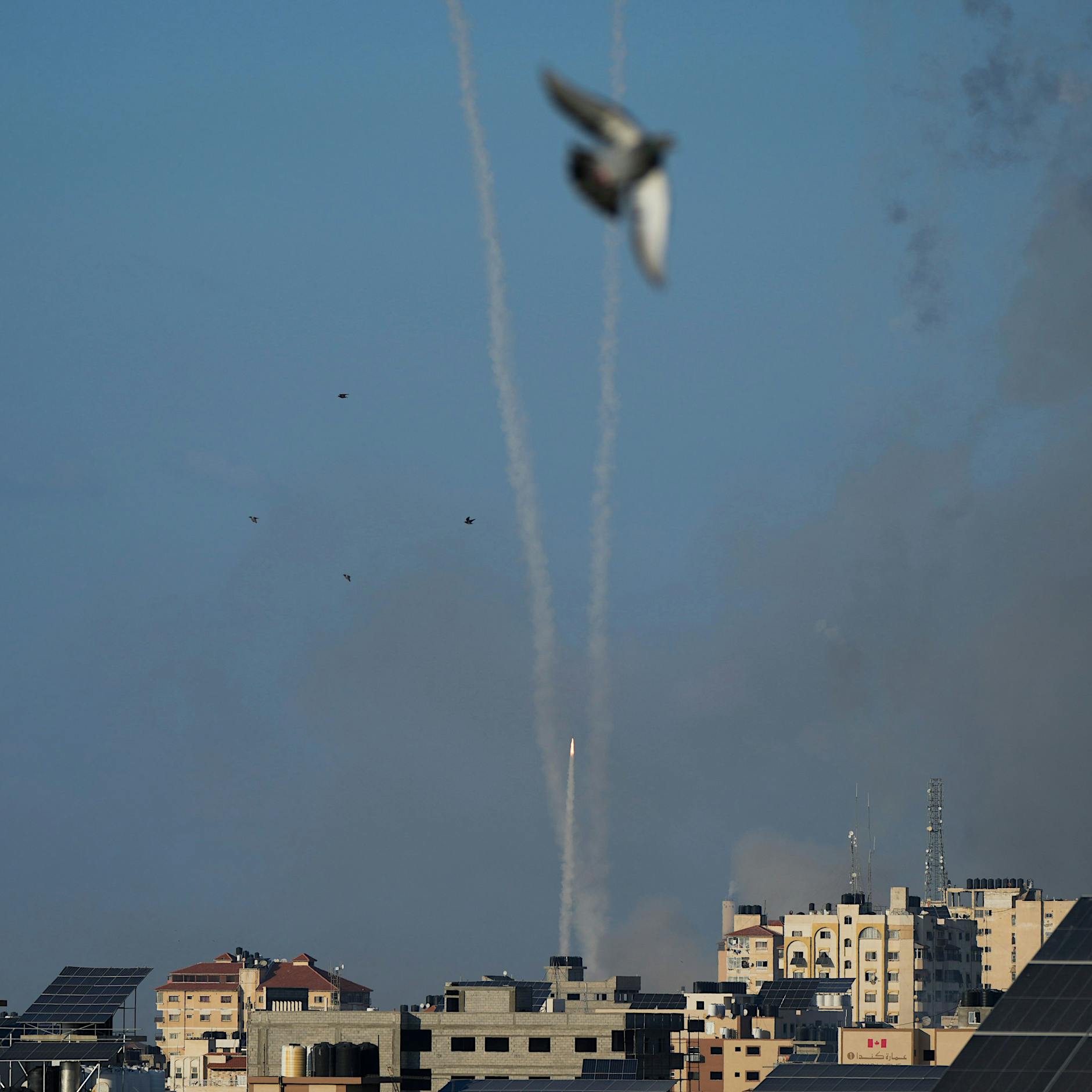 Ein Israeli in Berlin: „Dieser Krieg wird, wie alle Kriege zuvor, keine Lösung bringen“