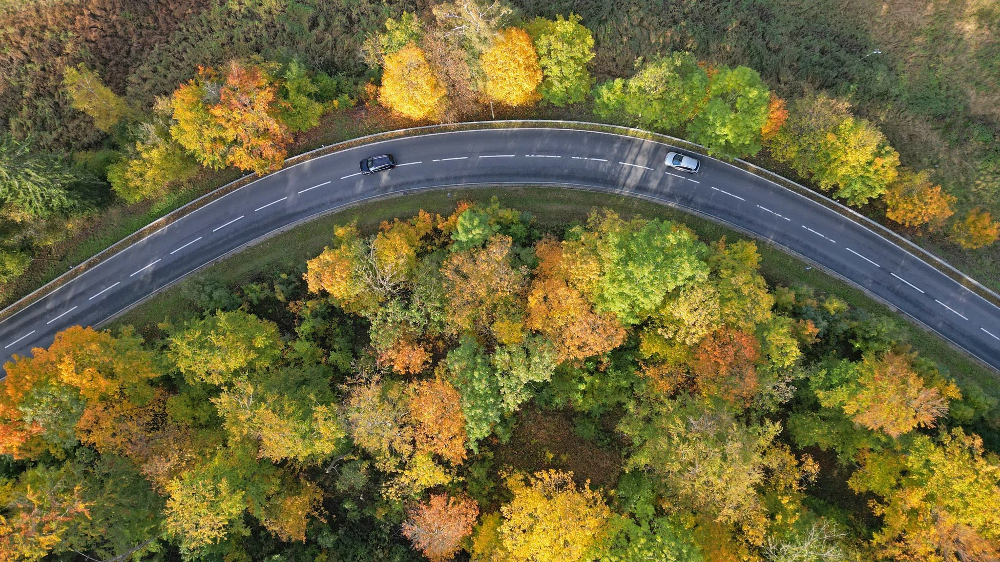 Die Wälder im Oberharz bei Stiege präsentieren sich heute von ihrer besten Seite. Sie strahlen in gelb und orange.  