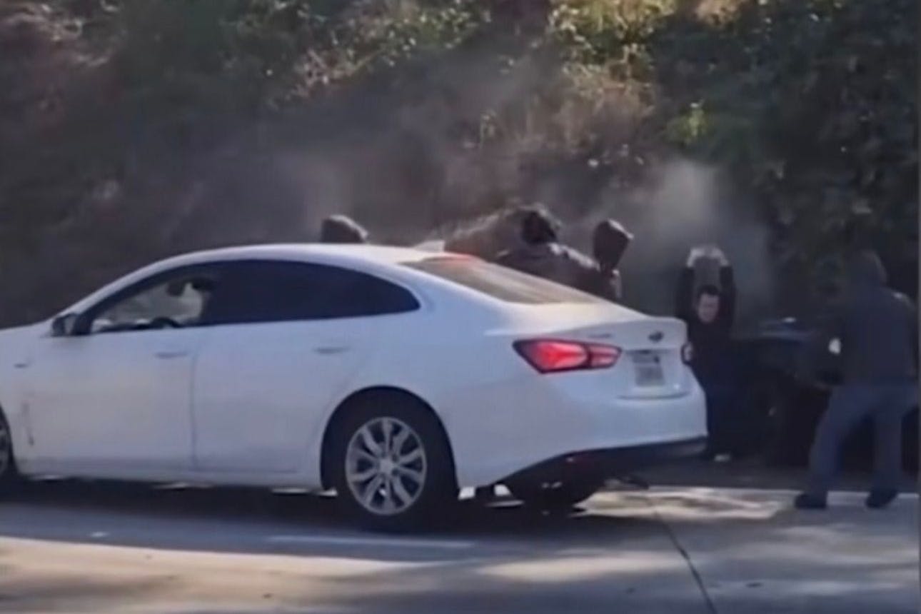 Die Räuber stehen neben dem gerammten Auto, der Fahrer kniet auf dem Biden und hält seine Hände in die Höhe.