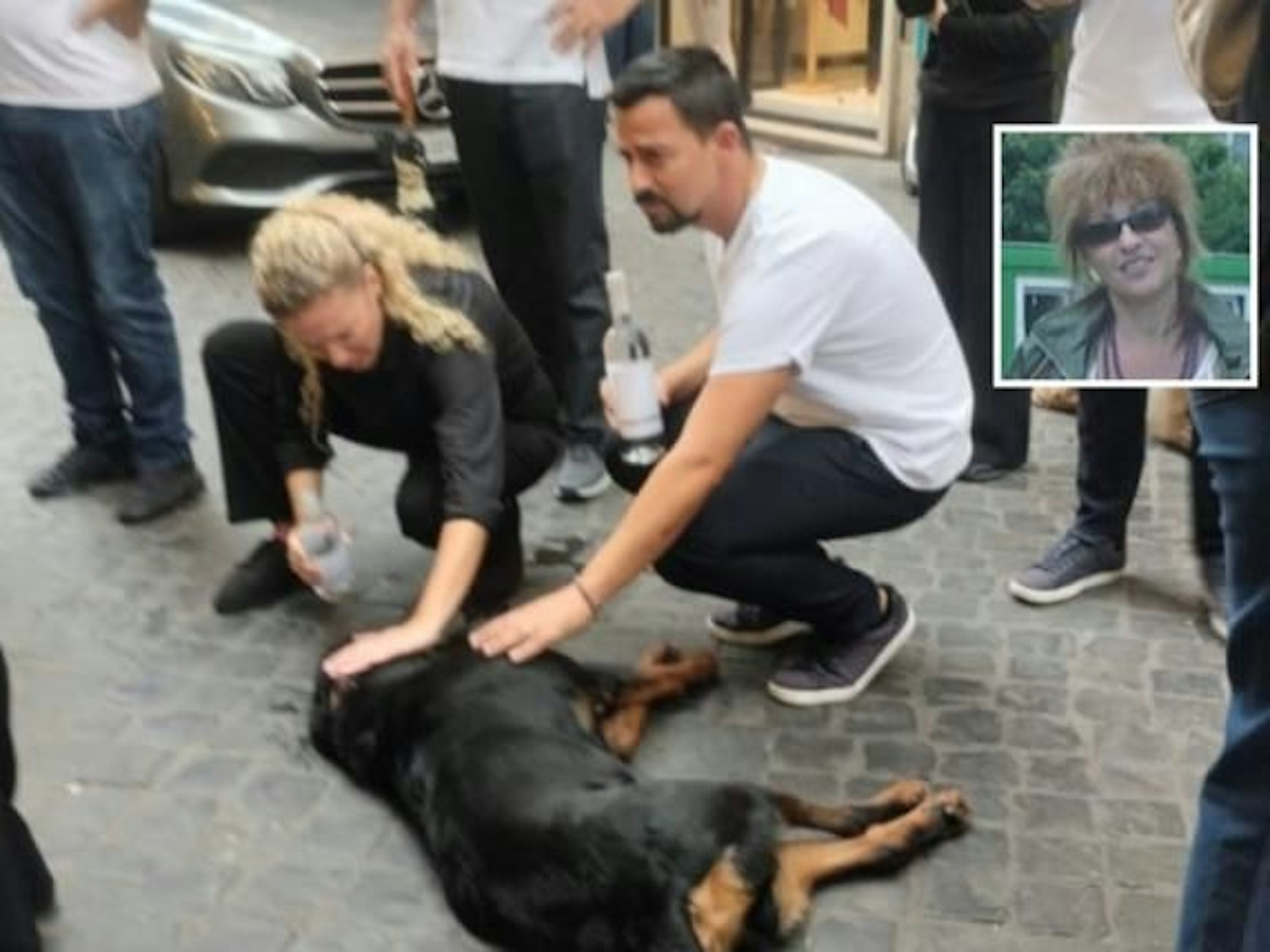 In einer Nebenstraße der beliebten Shoppingmeile Via del Corso ist ein Rottweiler aus einem Wohnhaus gestürzt.