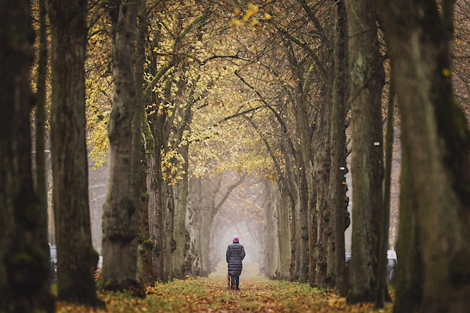 Der Herbst ist nass, kalt und ungemütlich? Das glauben viele. Doch für andere ist die düstere Jahreszeit die schönste des Jahres.