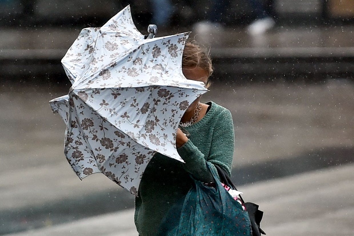 Auch Berlin wird die Ausläufer des Orkans zu spüren bekommen - auch wenn das Wetter hier nicht so chaotisch wird wie in Großbritannien und Frankreich.