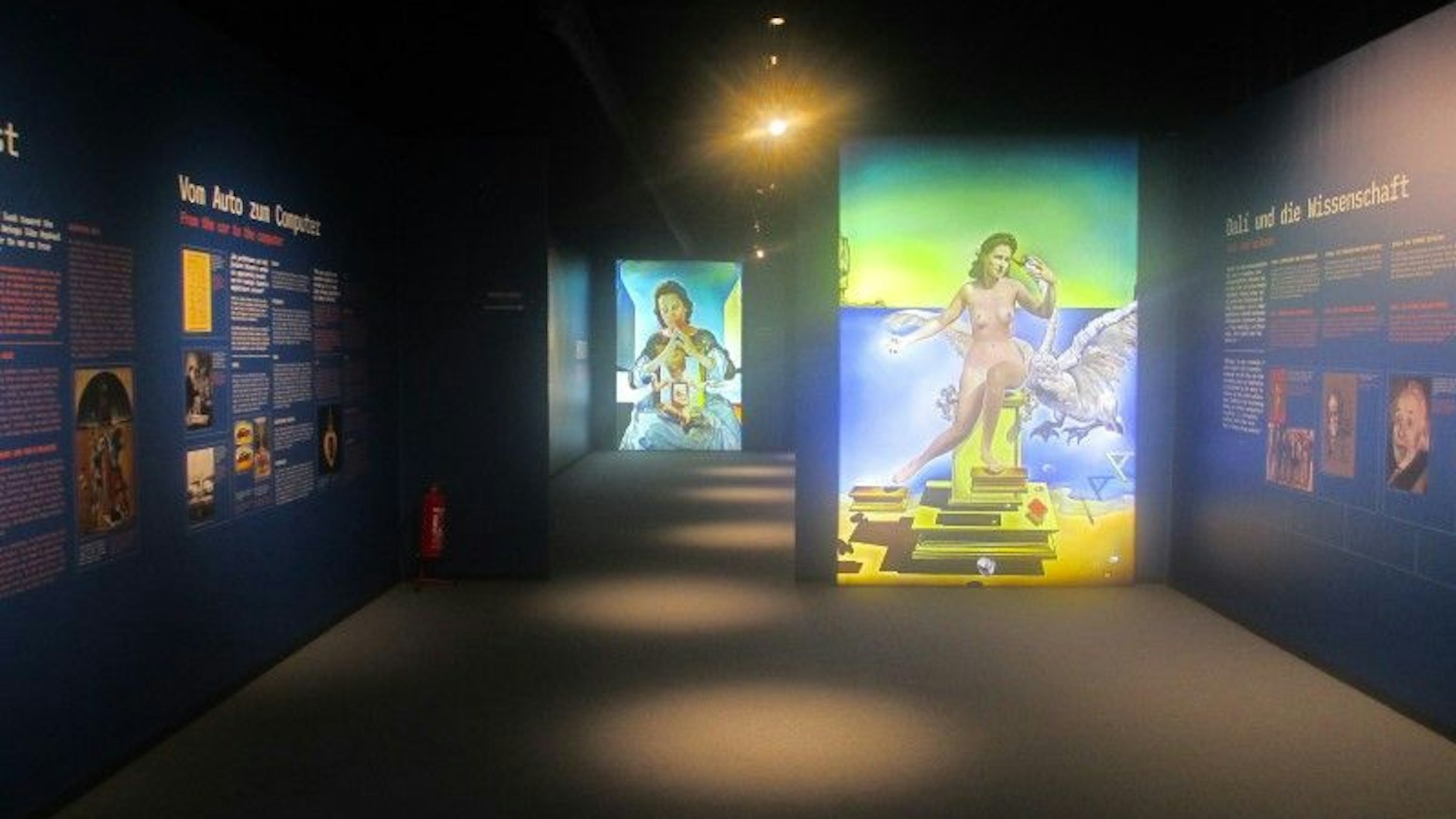 Informationstafeln zu "Dali und die Wisschenschaft"