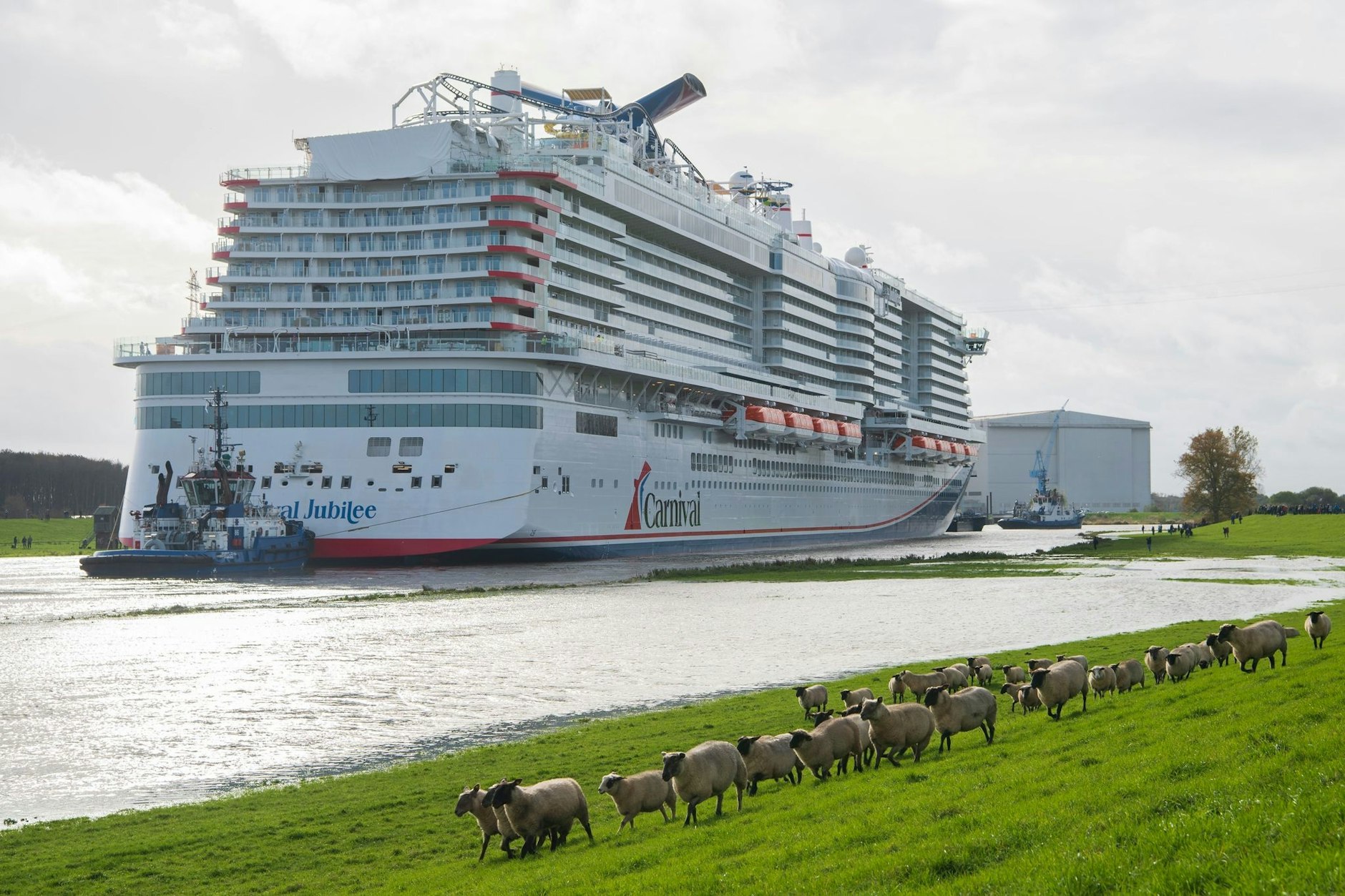 Großes Schiff auf kleinem Fluss: Das neue Kreuzfahrtschiff «Carnival Jubilee» wird von der Papenburger Meyer Werft über die Ems zur Nordsee überführt. Am Ufer stehen einige Schaulustige, die Schafe scheinen jedoch kein großes Interesse an dem Schauspiel zu haben.
