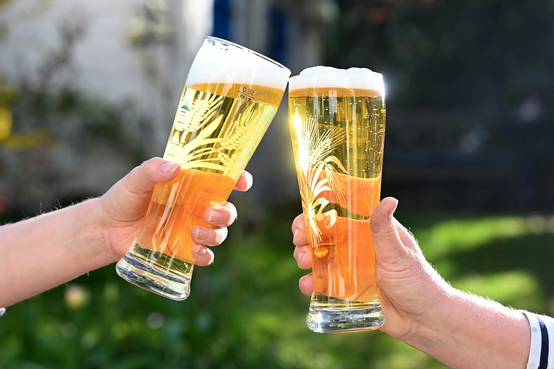 Eine neue Studie ergab jetzt, dass der Gerstensaft ohne Alkohol ein Nährboden für Magenverstimmungsbakterien ist.