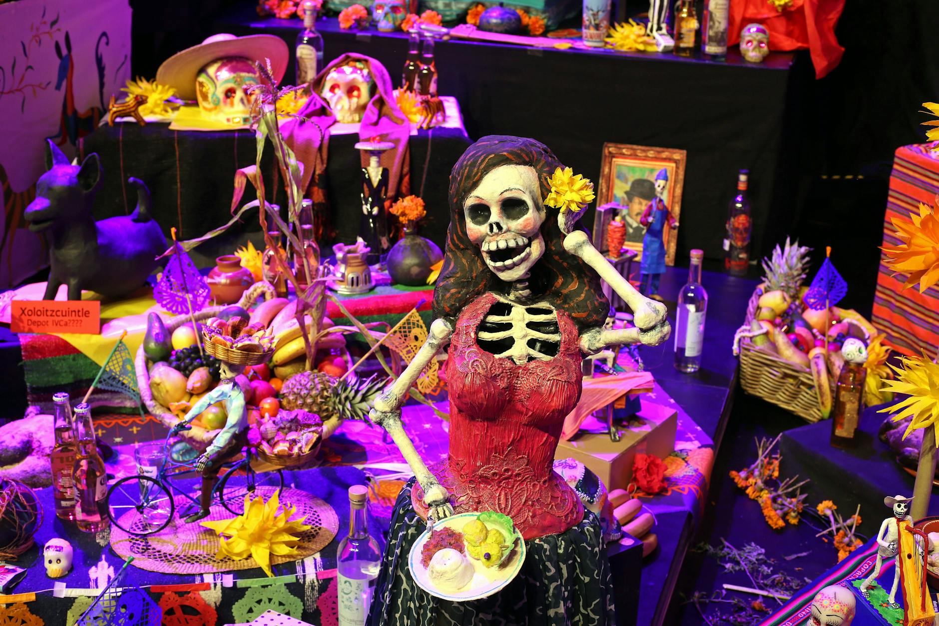 Das Mexikanische Totenfest wird erstmals im Berliner Humboldt-Forum gefeiert.