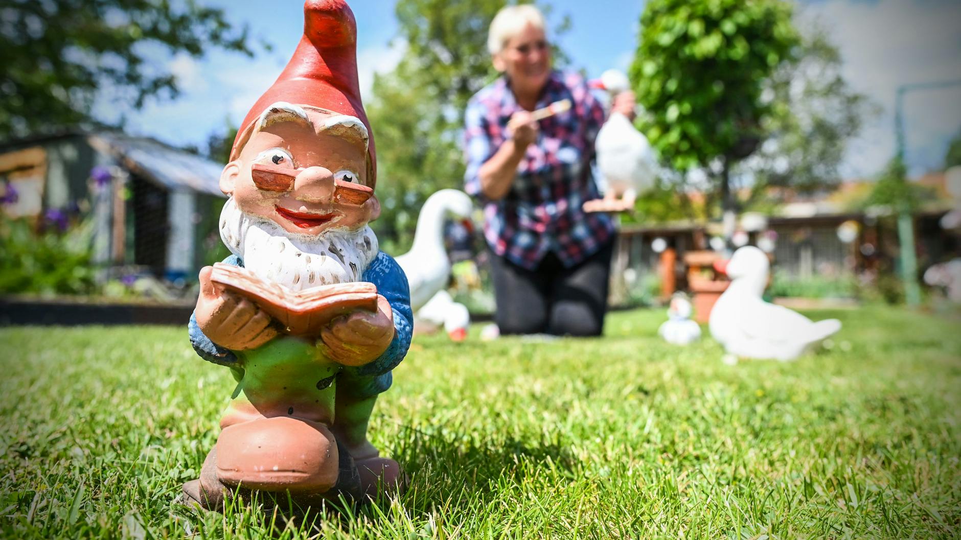 In Pankow sind etwa 5000 Kleingärtner von dem Skandal um die Untreue des Vorstands betroffen.