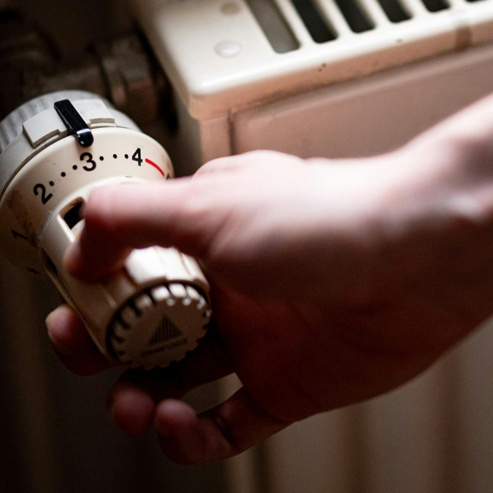 Image - Umweltverbände: Wärmegesetz verliert Anspruch an Klimaschutz